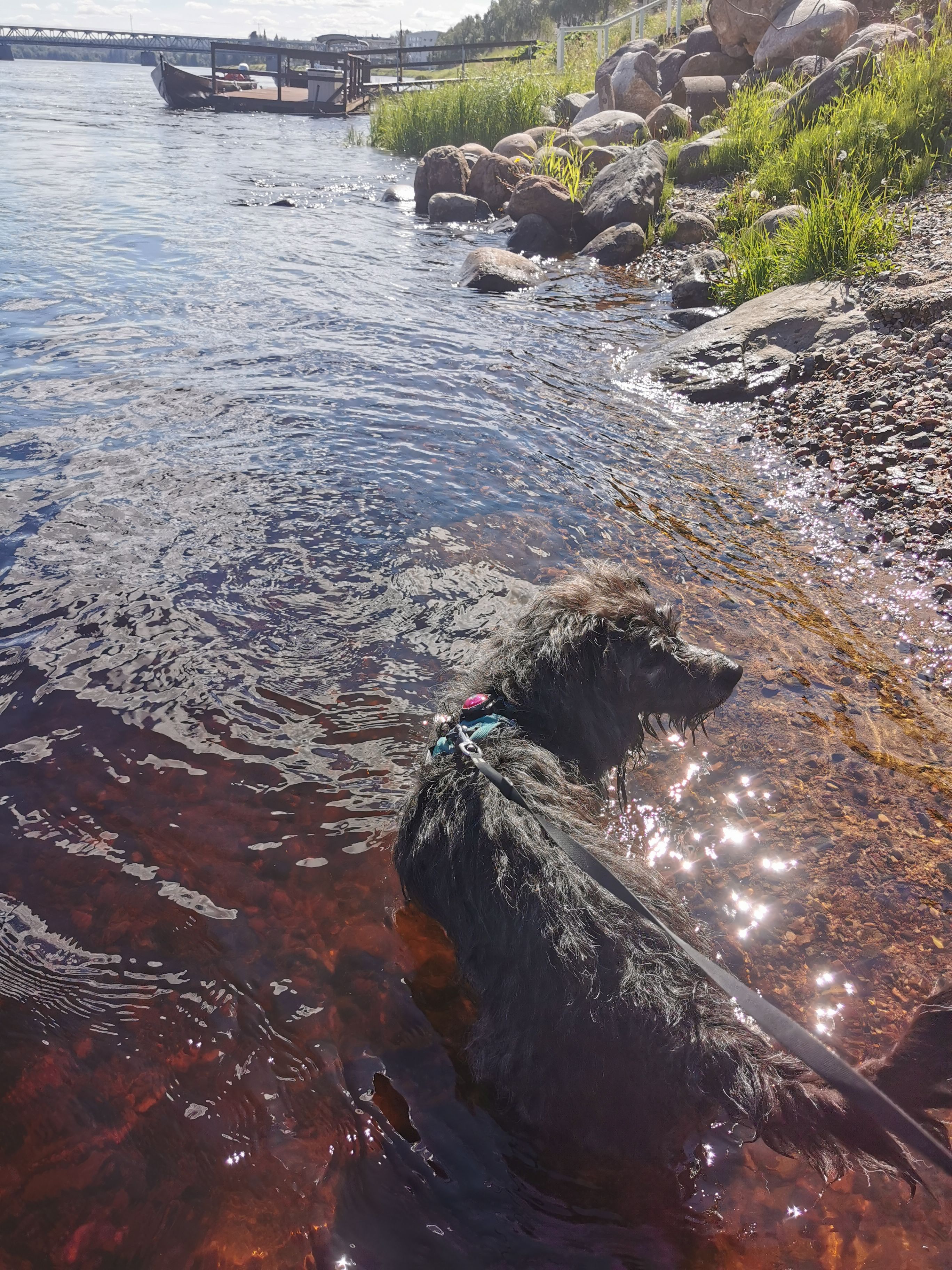 image-8