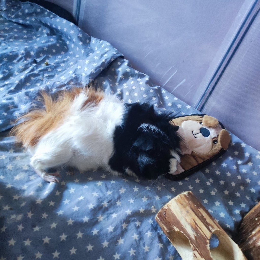 Juanita