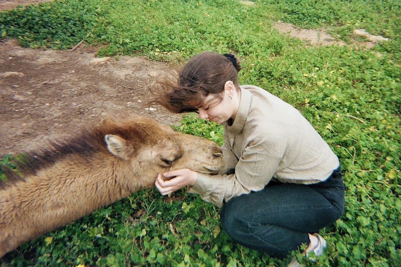 image-4