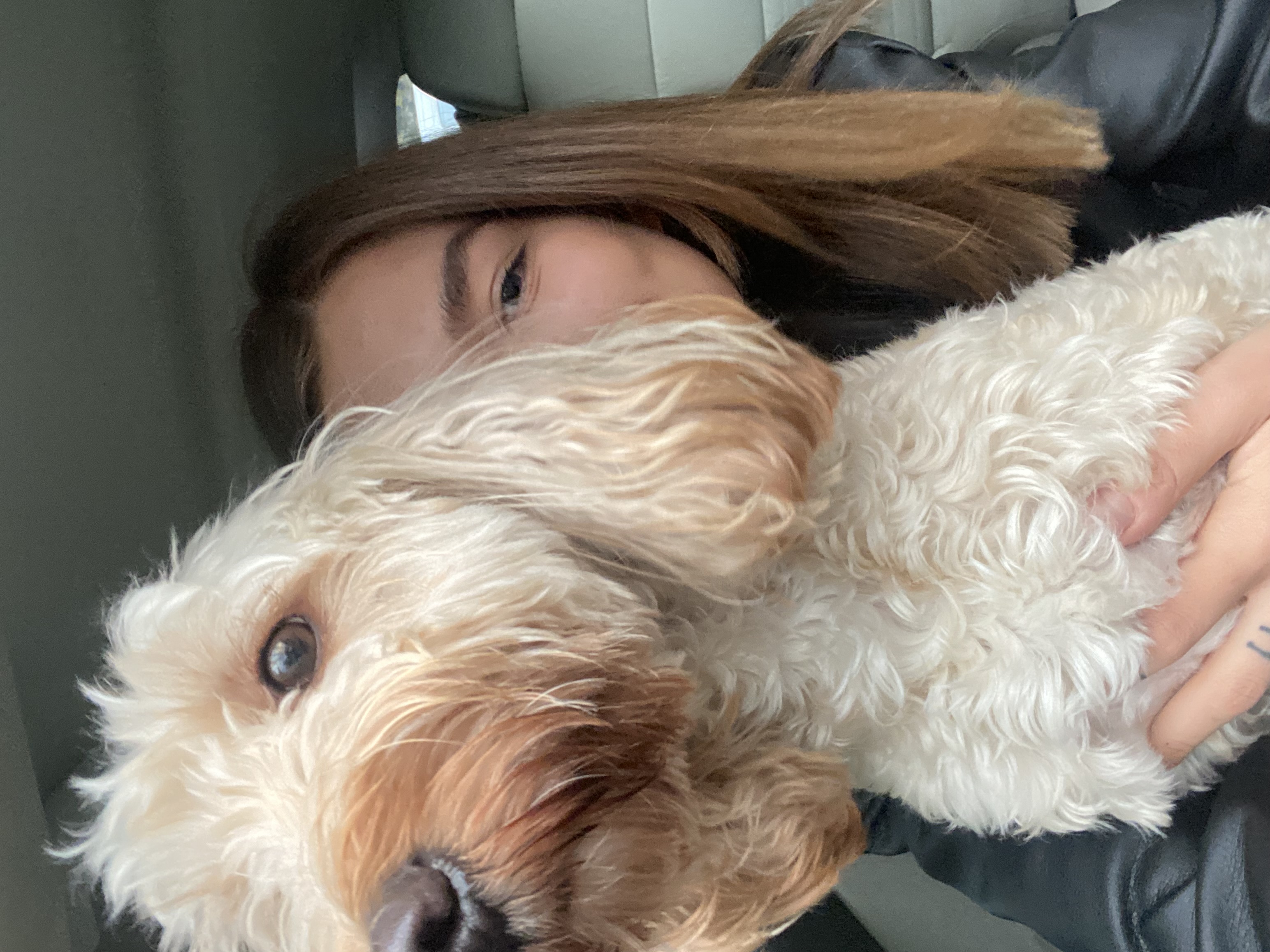 image-8
