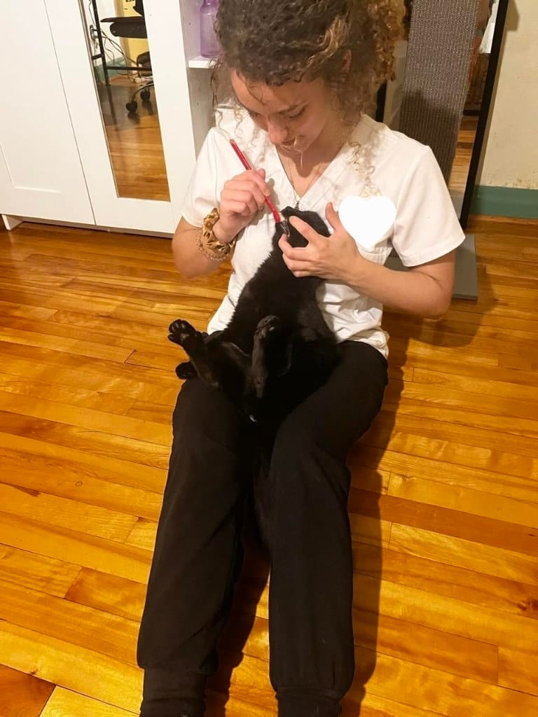 image-8