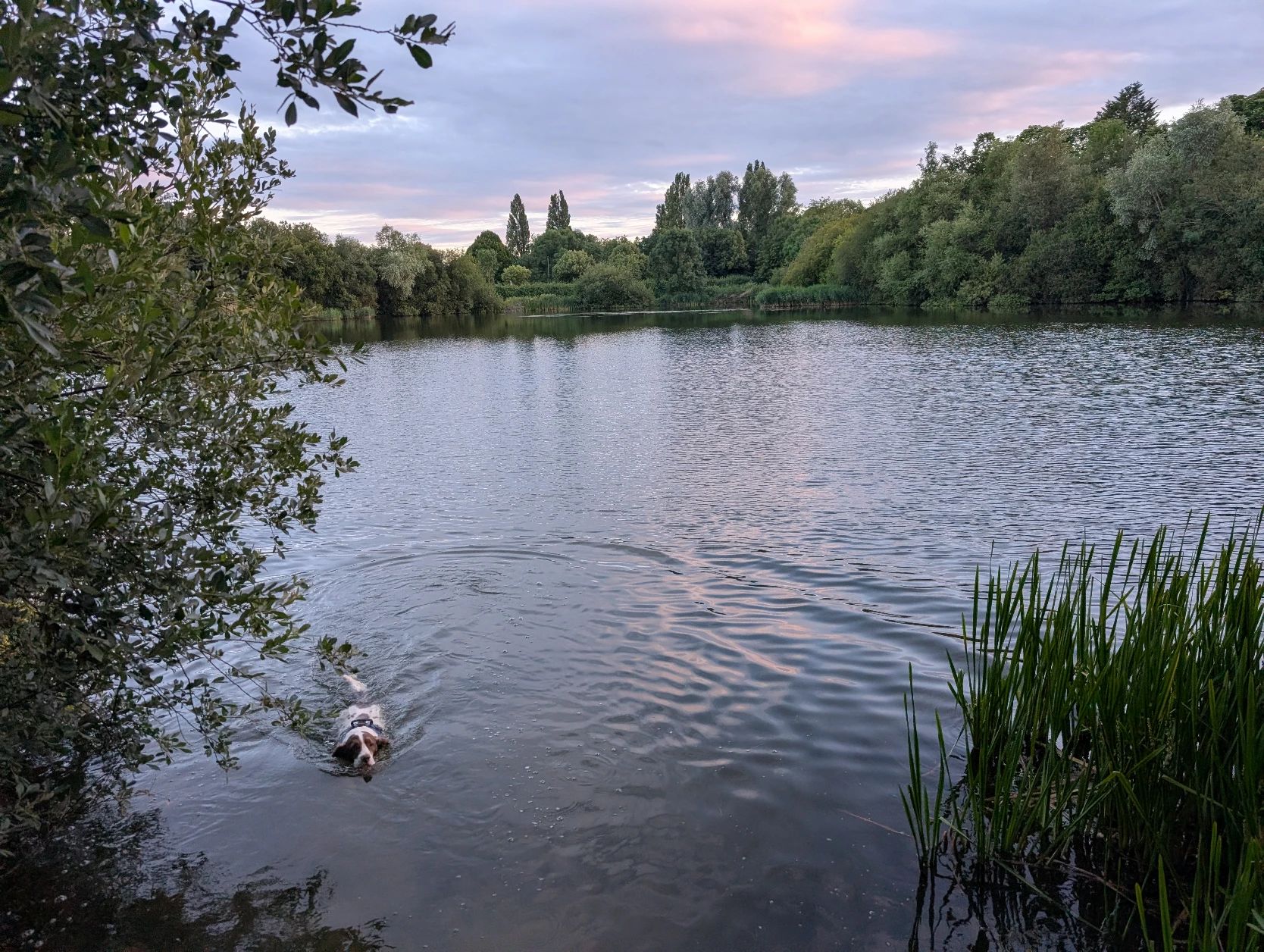 image-24