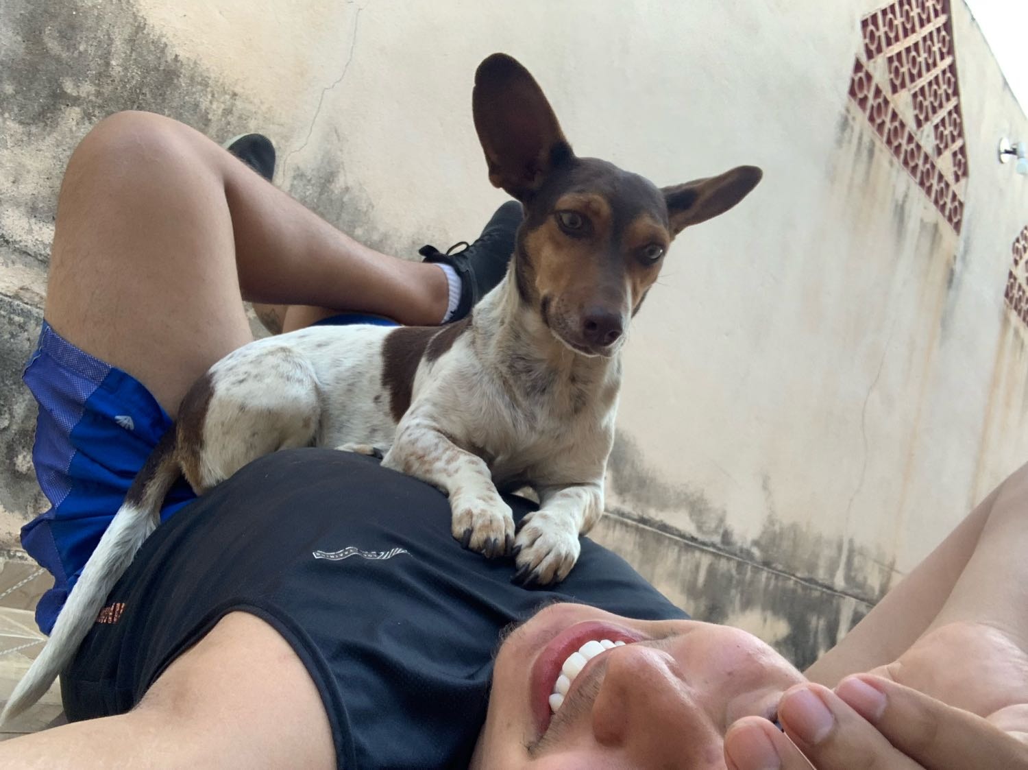 image-3