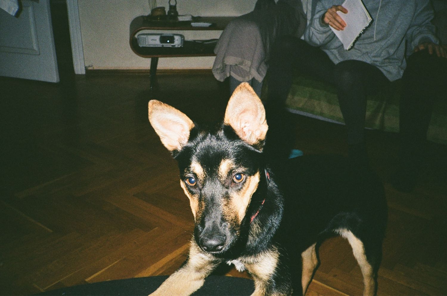 image-2
