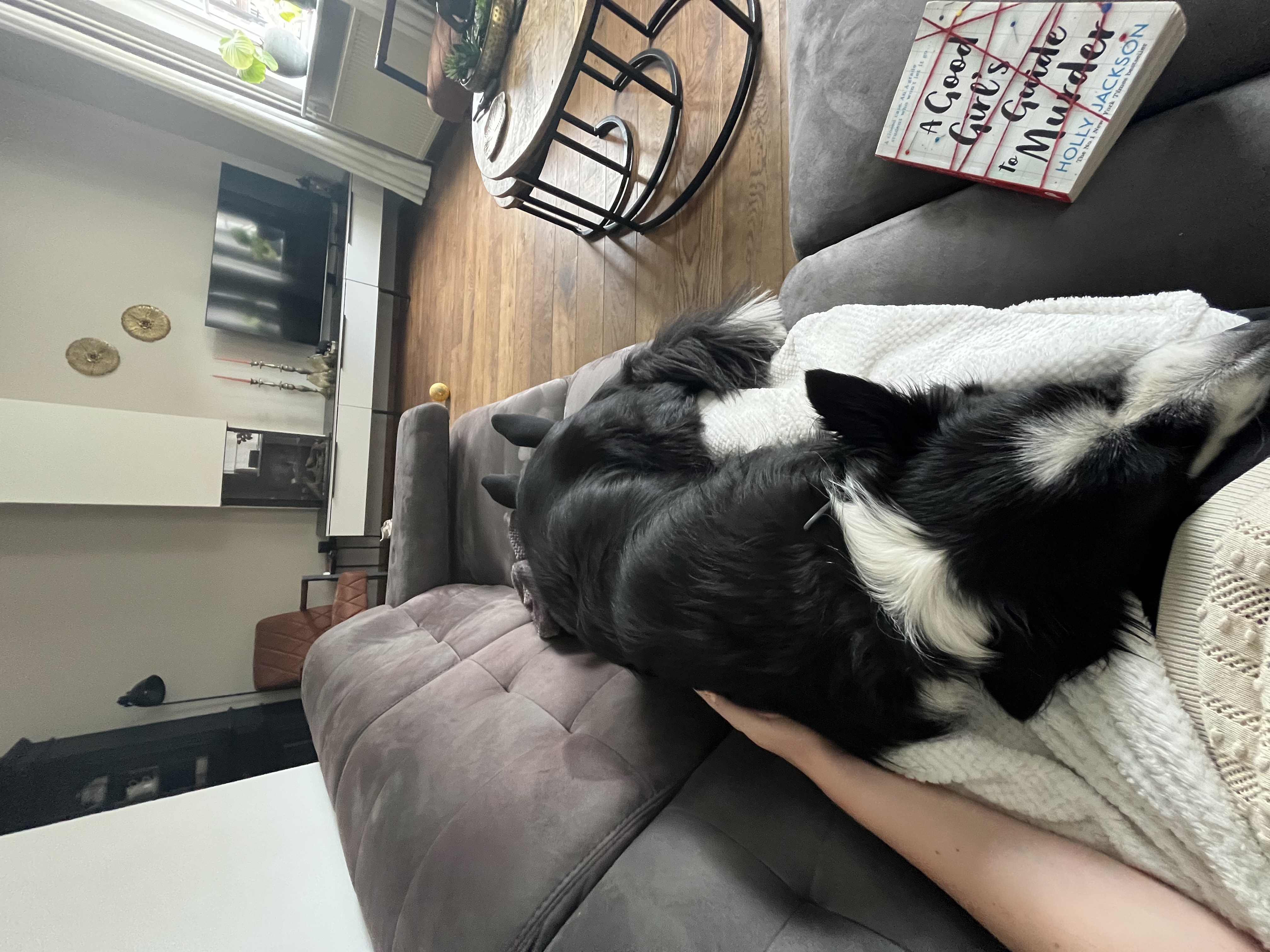 image-10