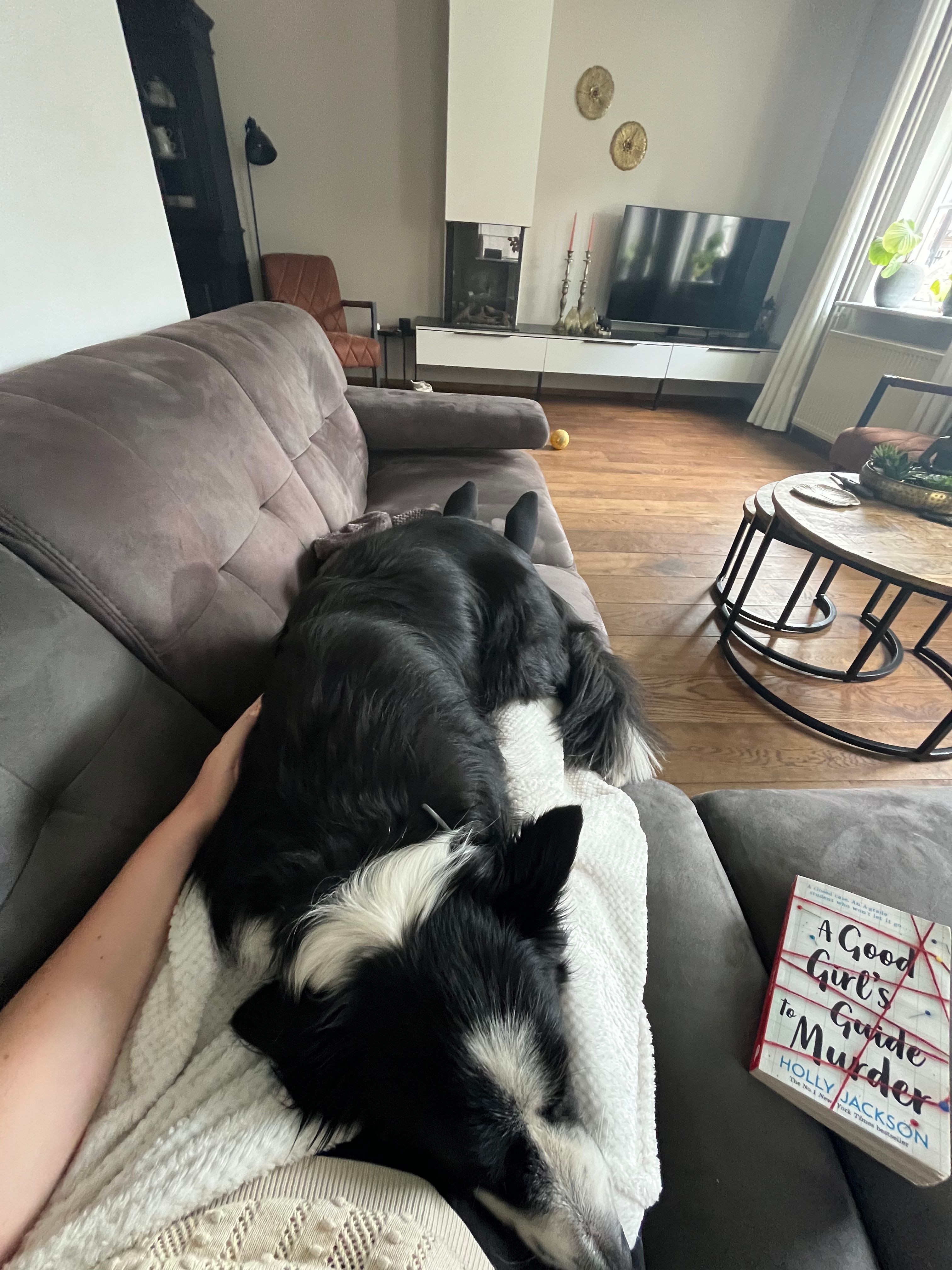 image-10