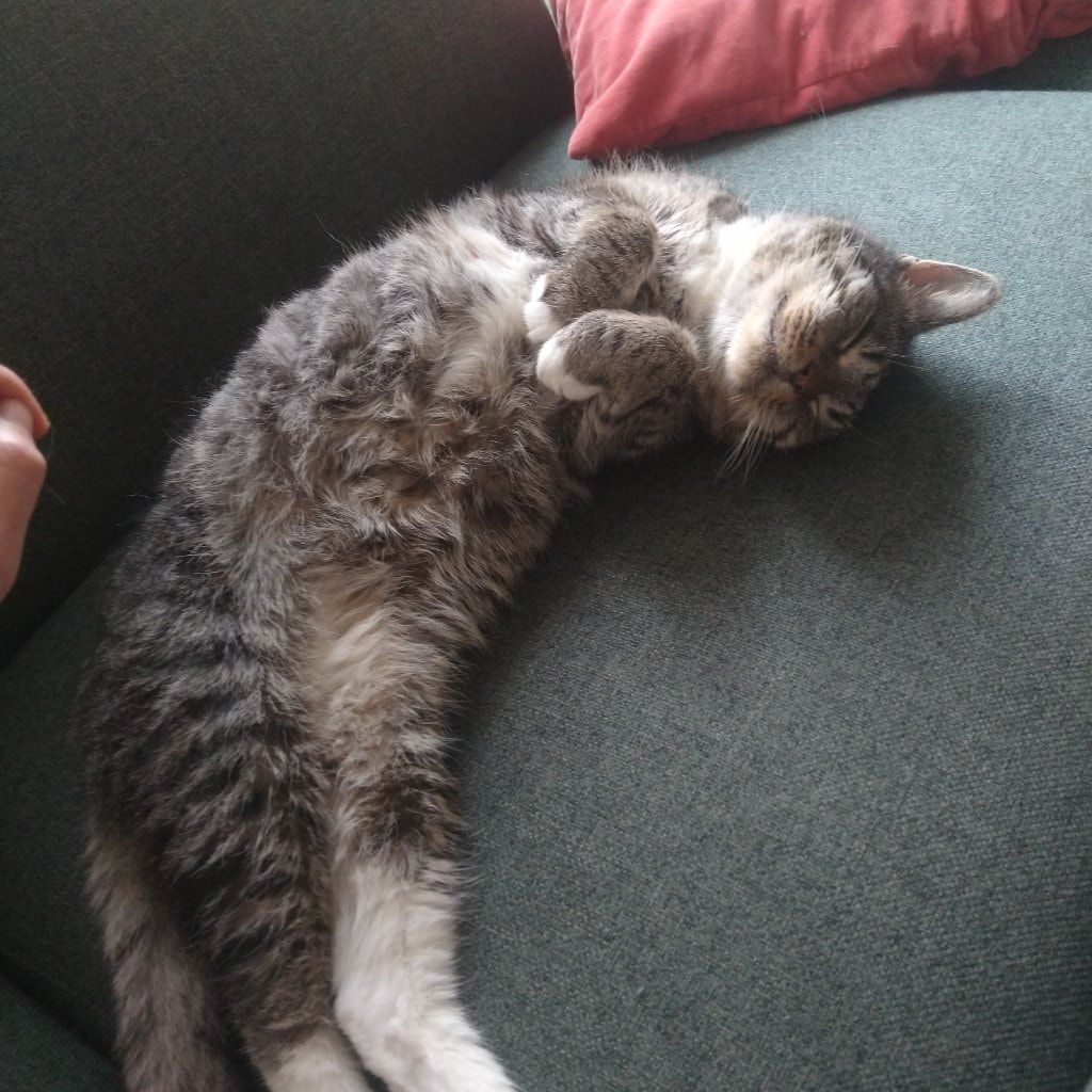 Miro