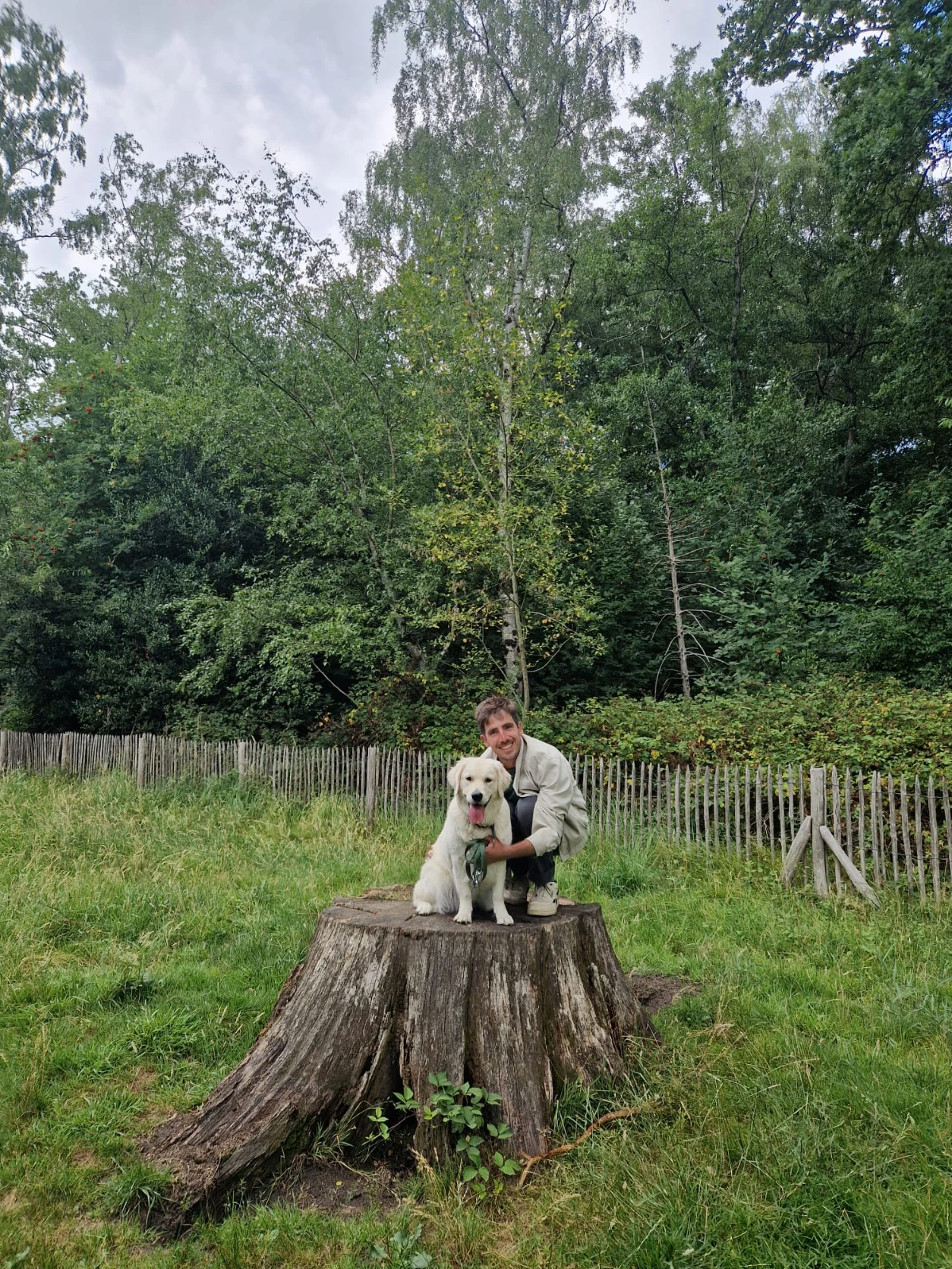 image-5