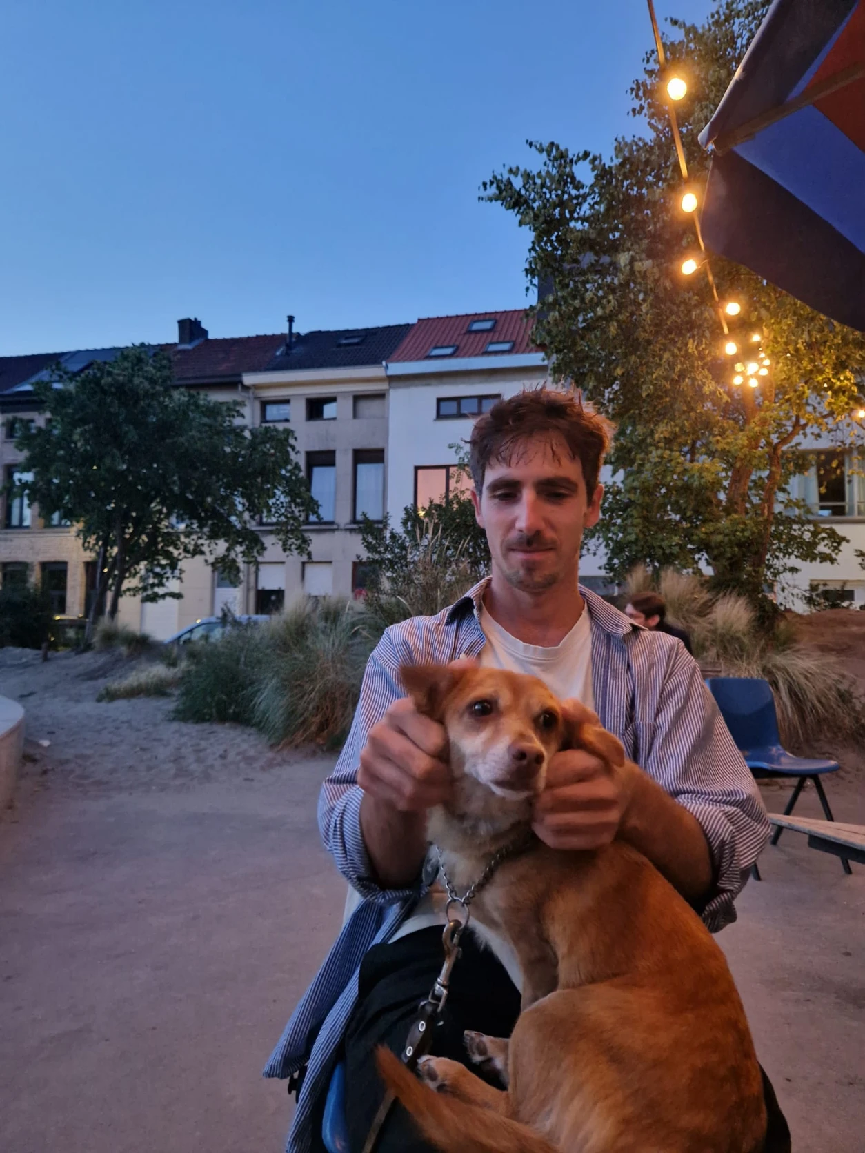 image-12
