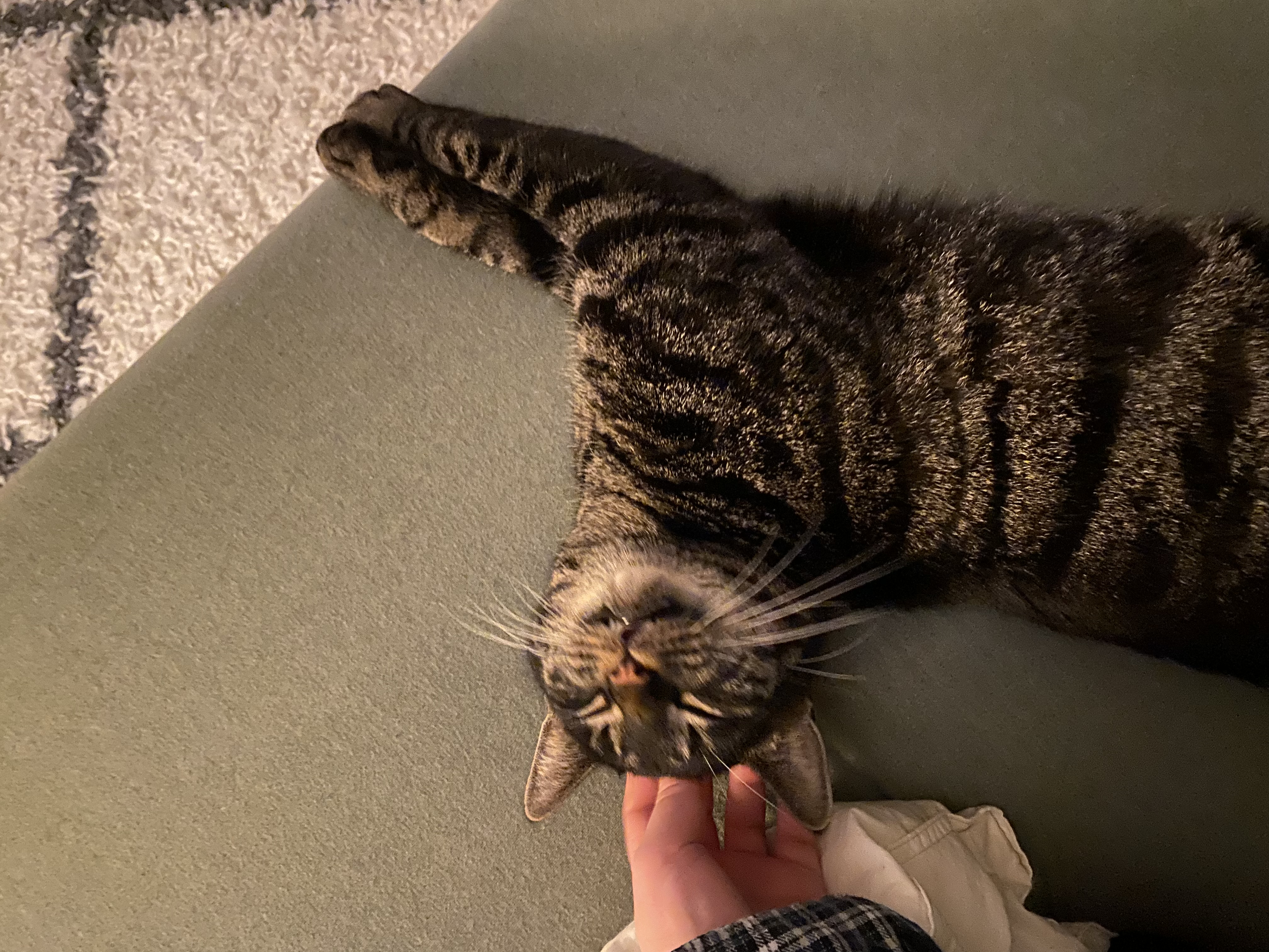 image-4