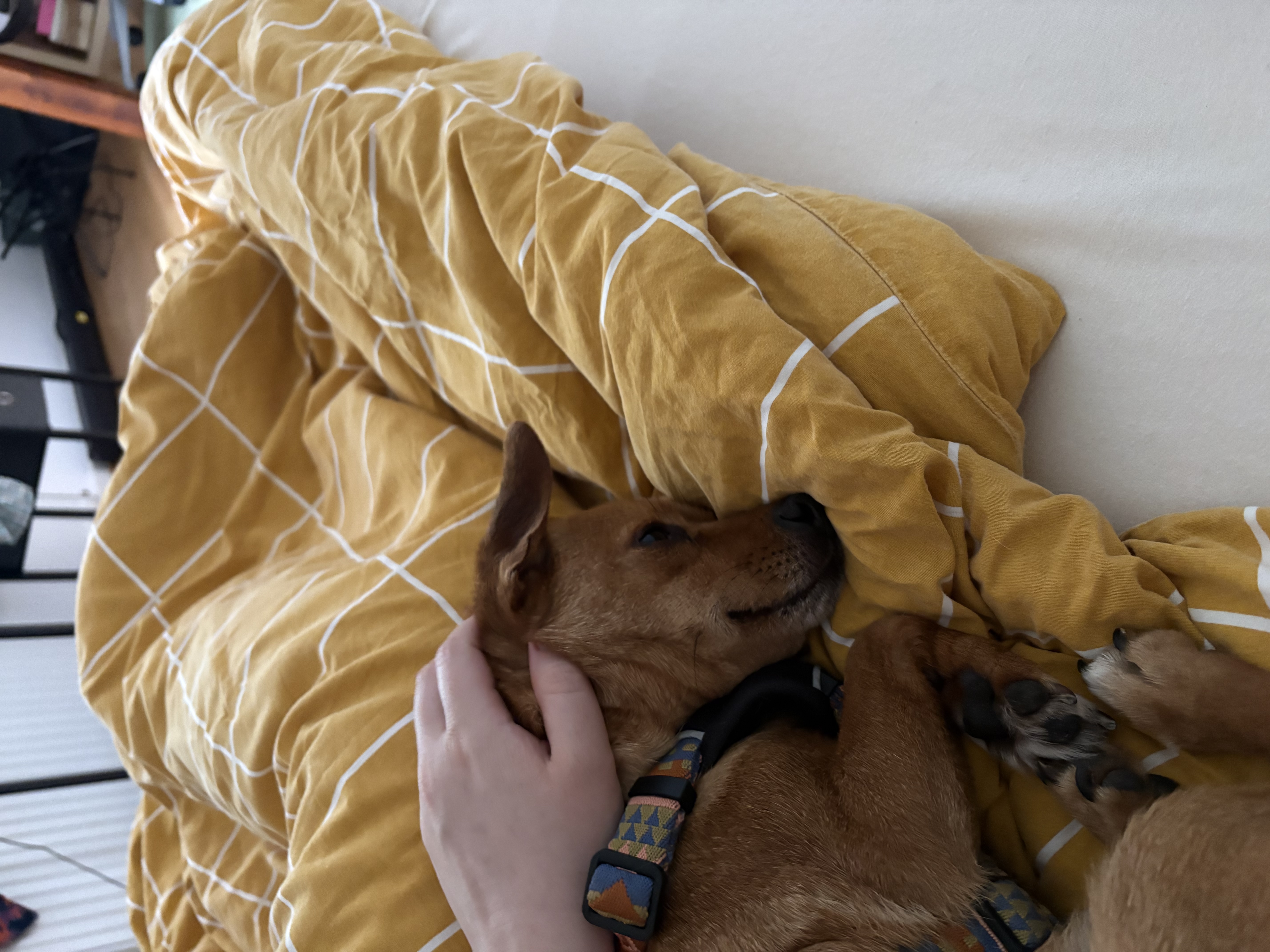 image-16