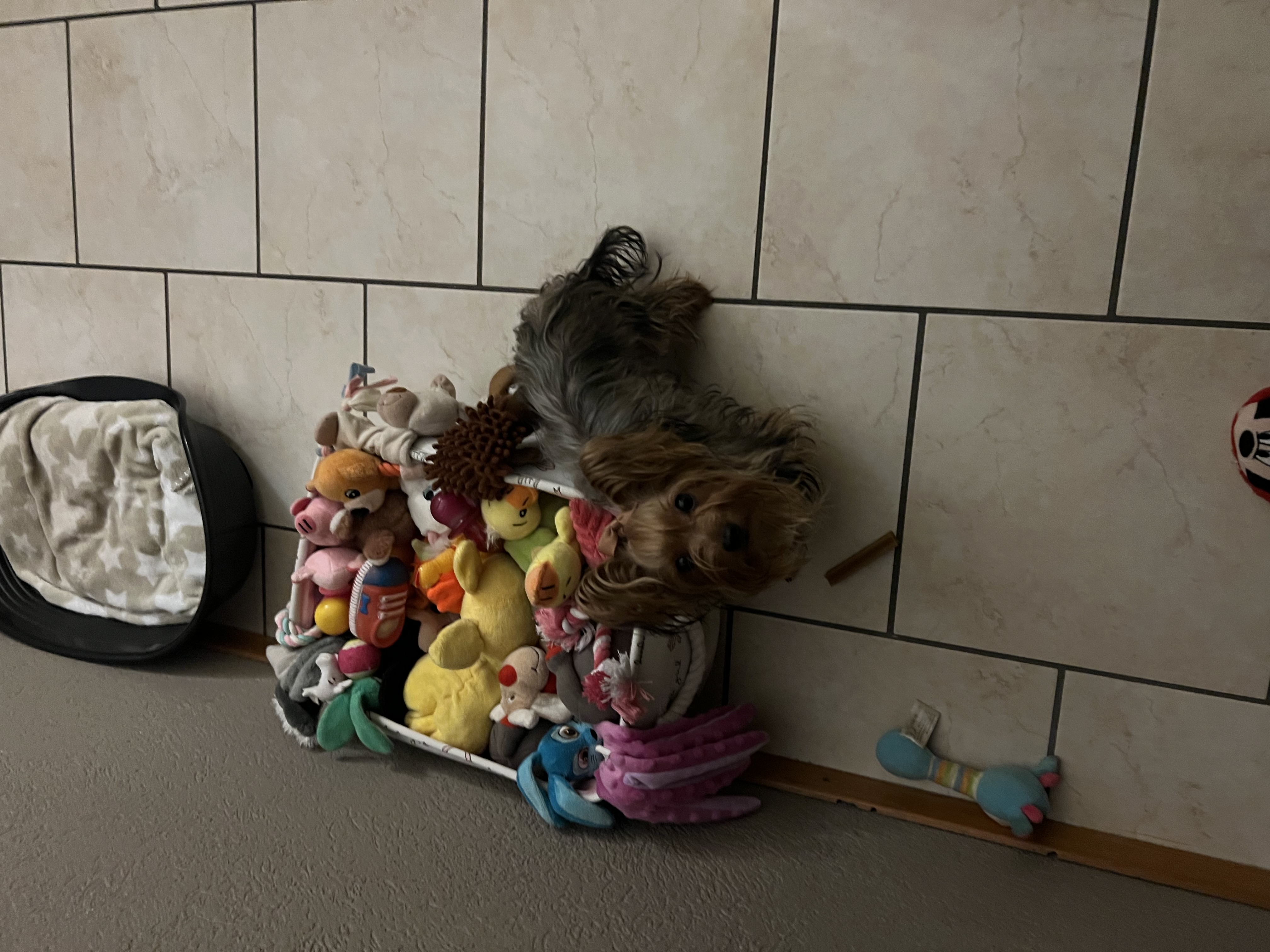 image-16