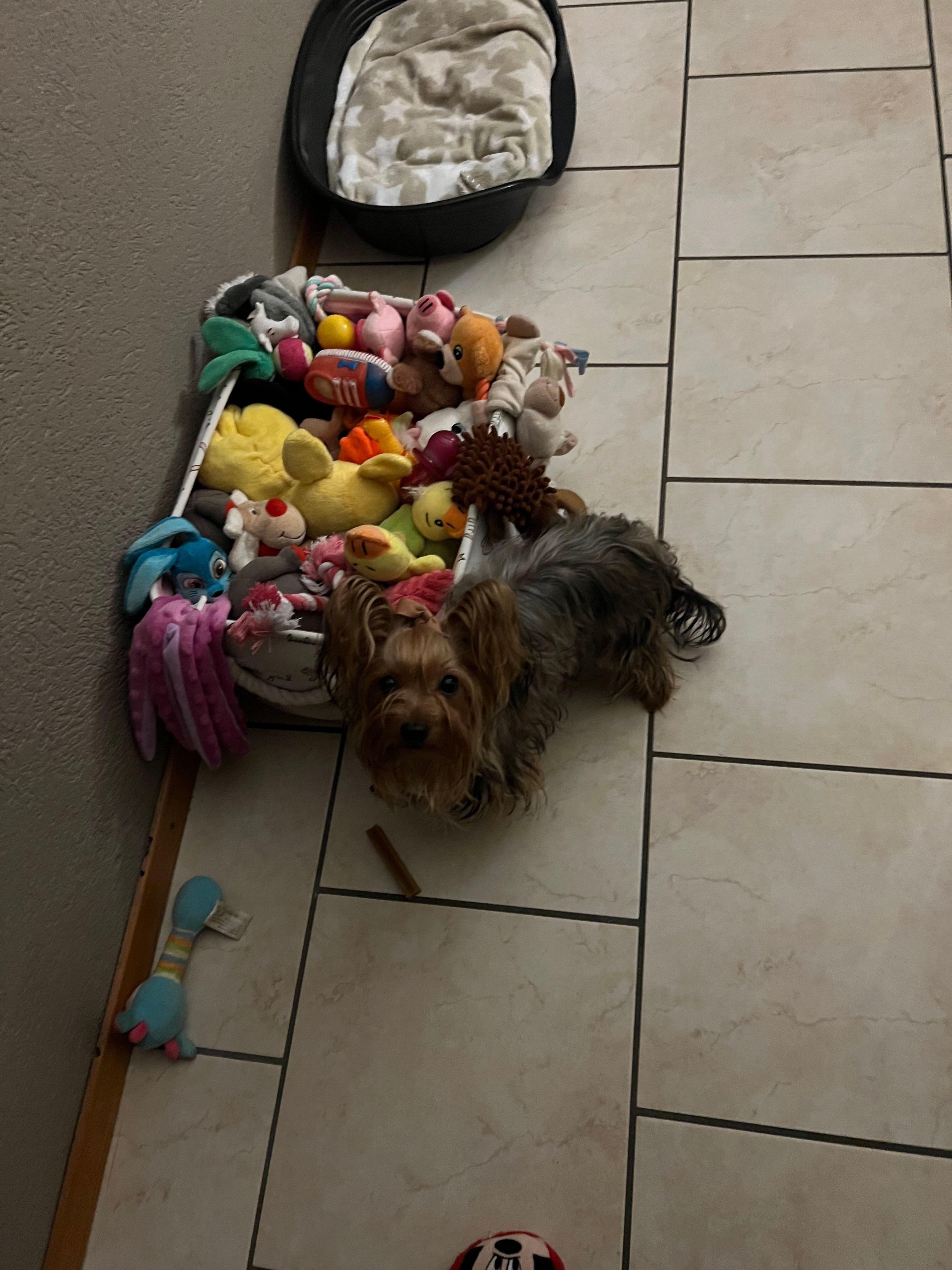 image-16