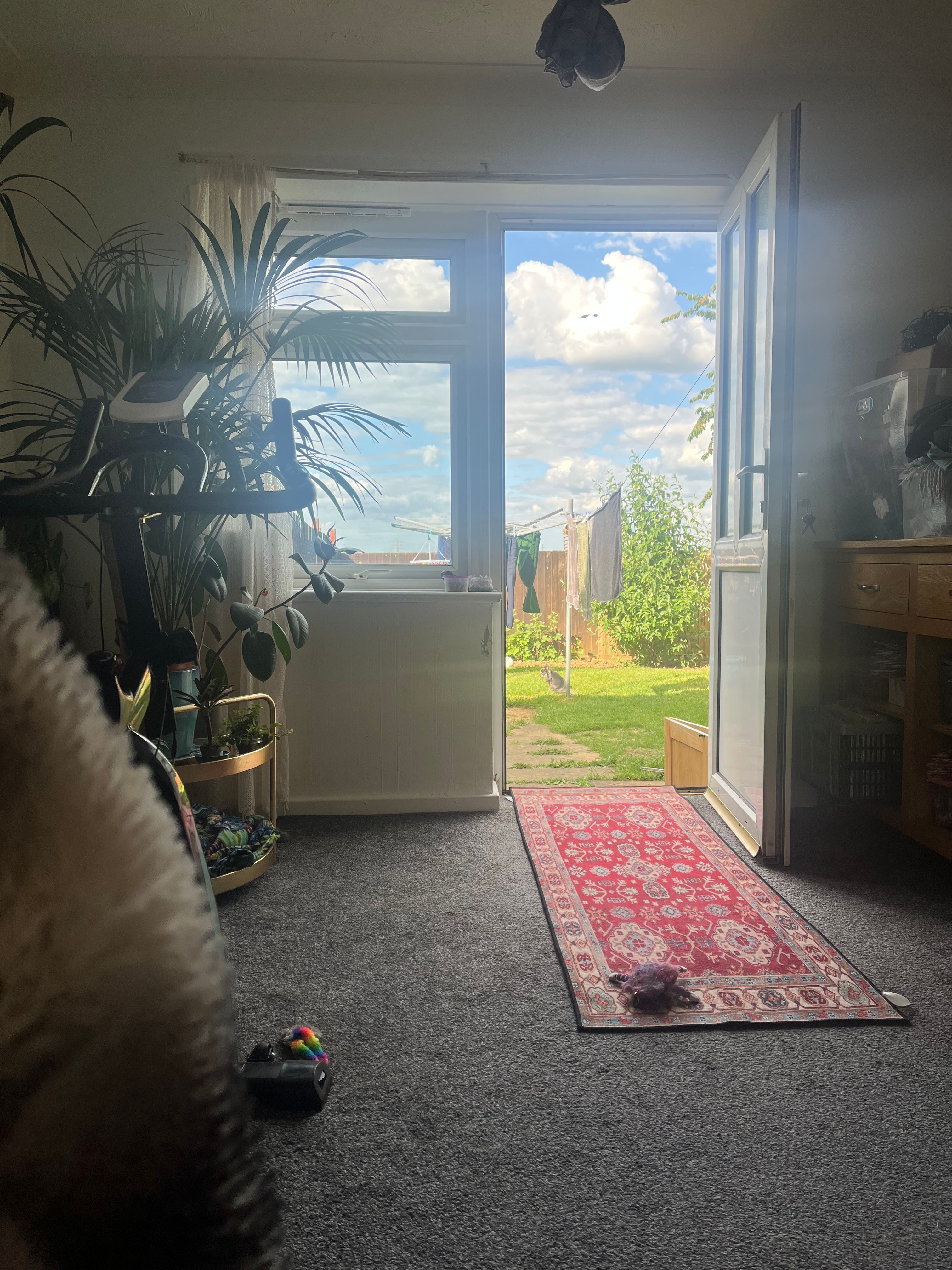 image-12