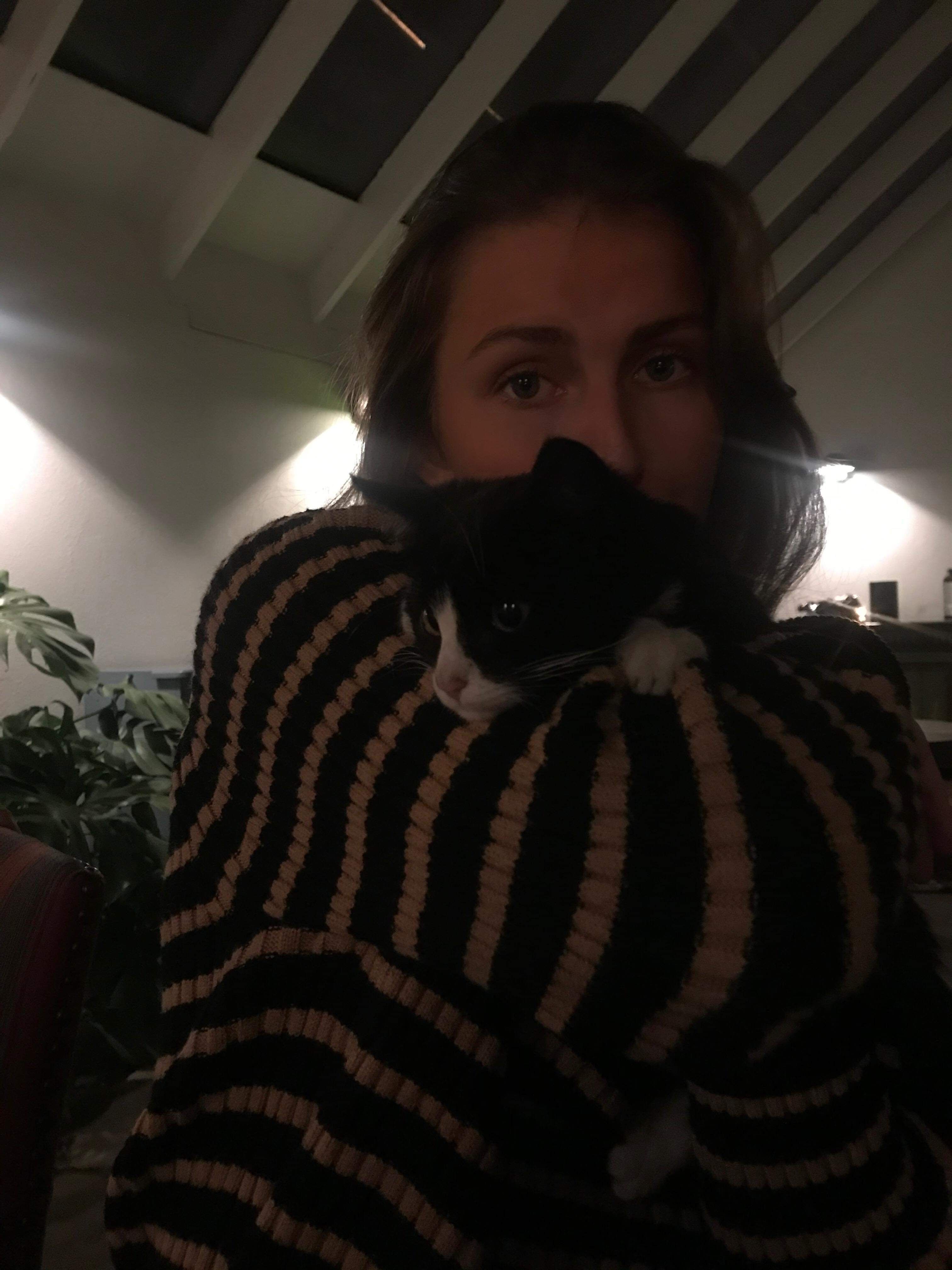 image-12
