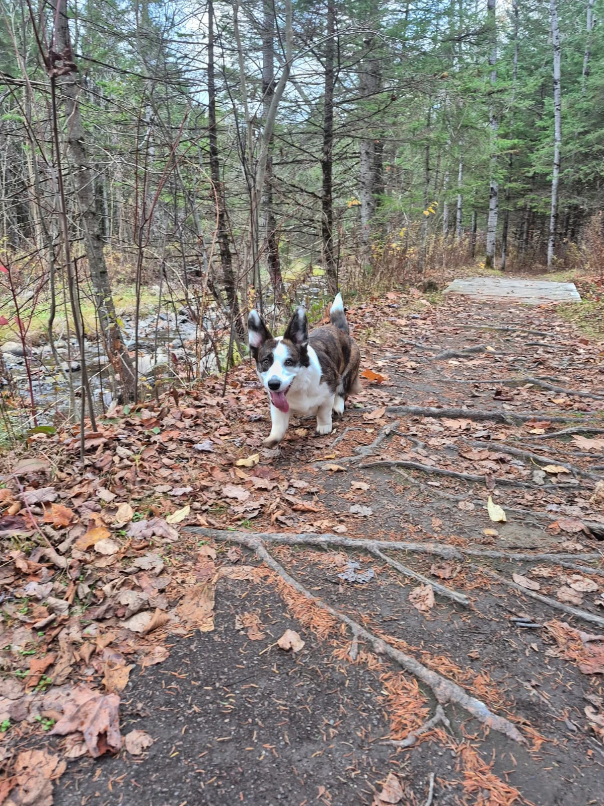 image-21