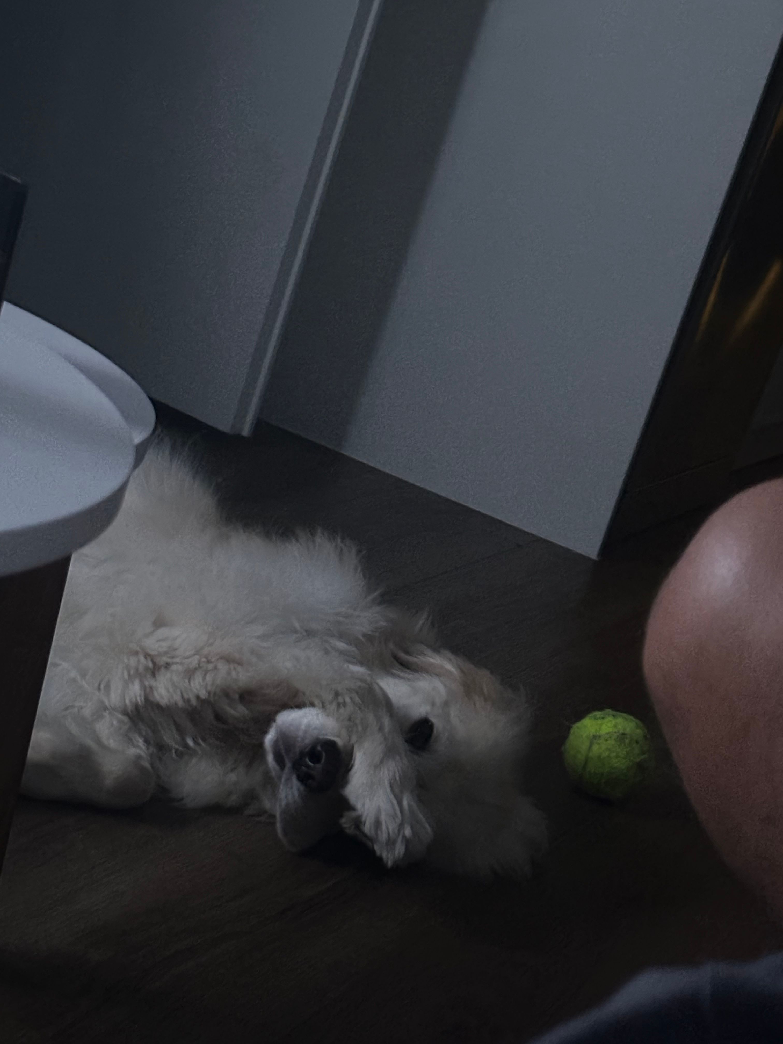 image-10