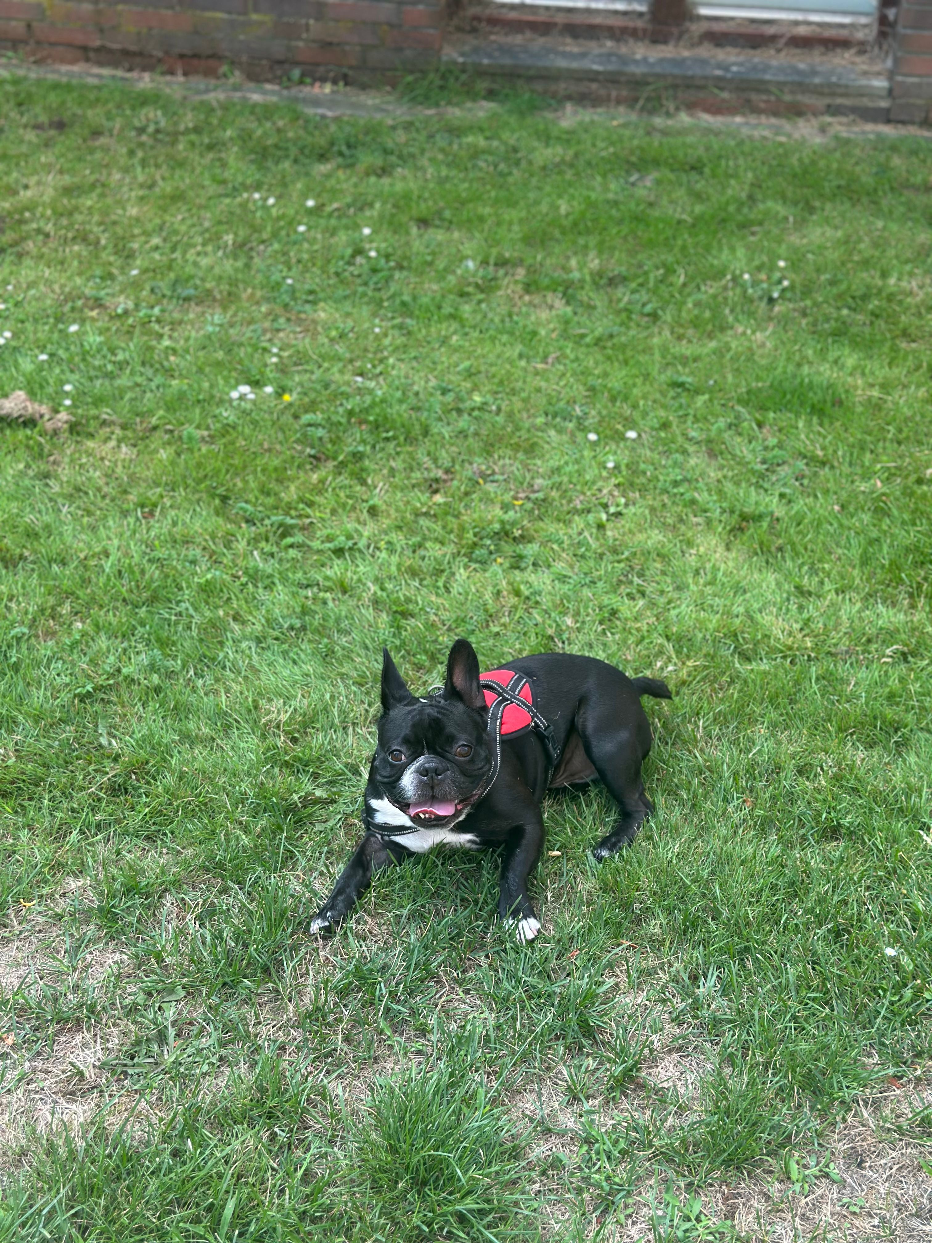 image-12