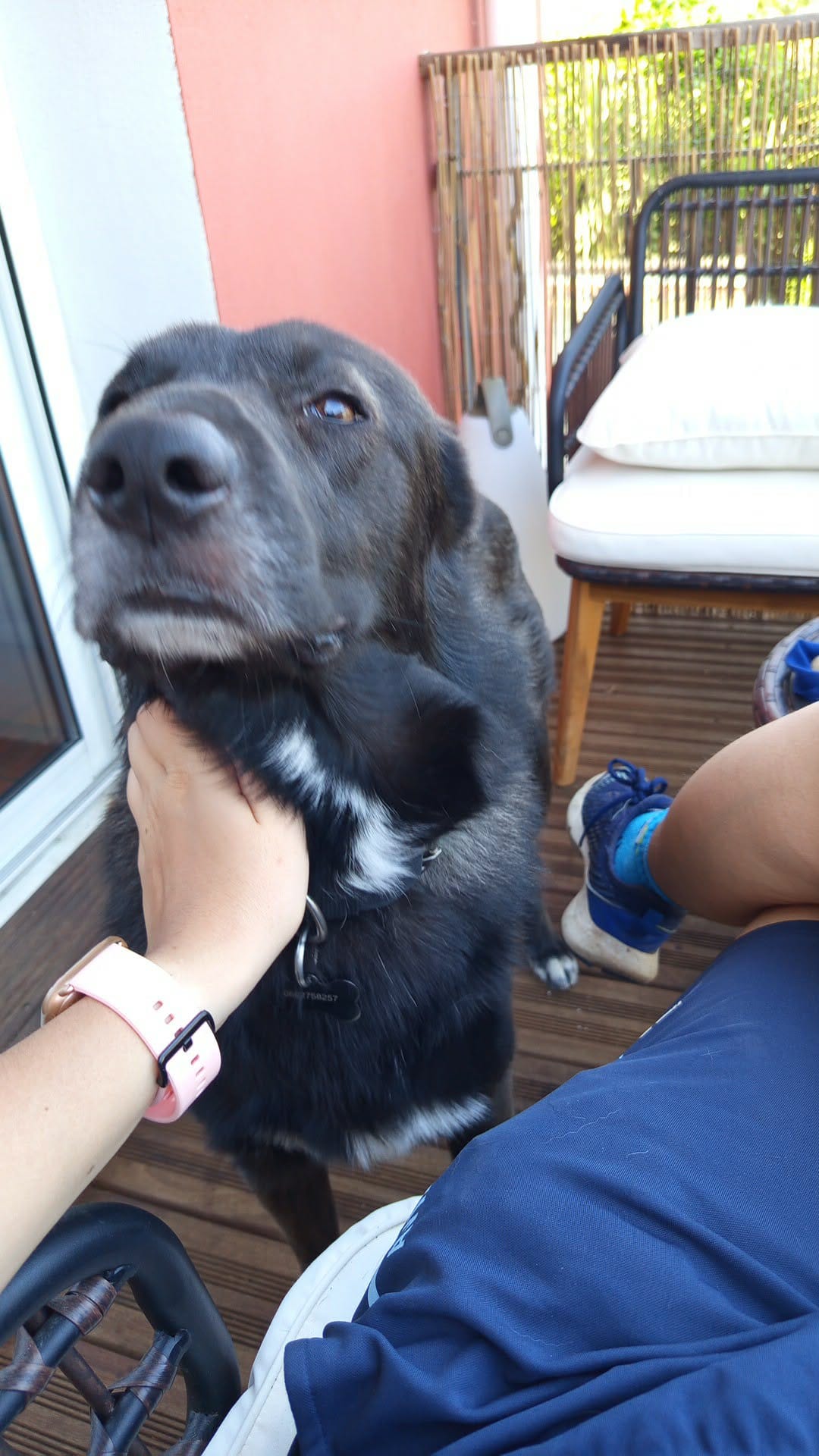 image-8