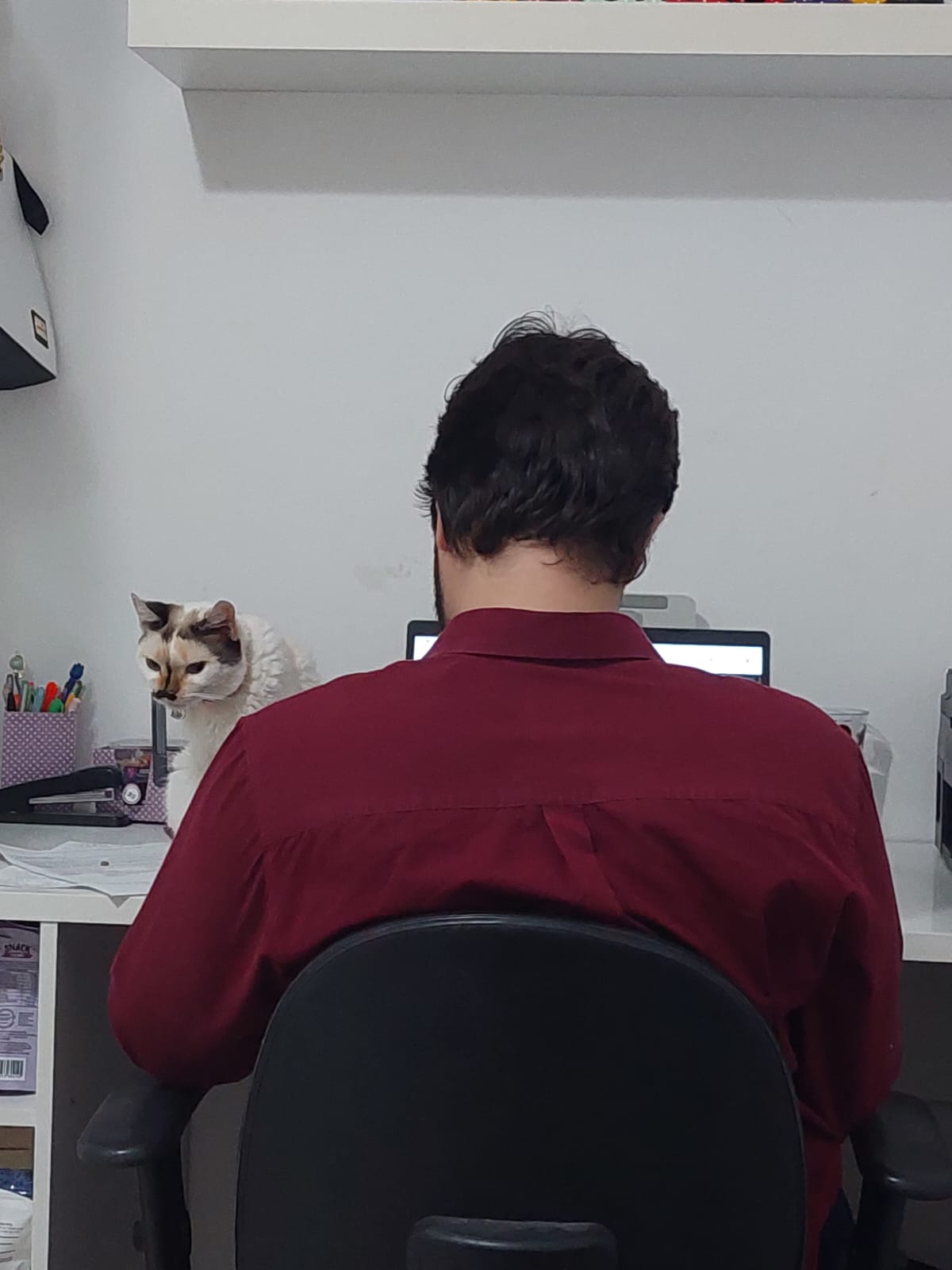 image-5