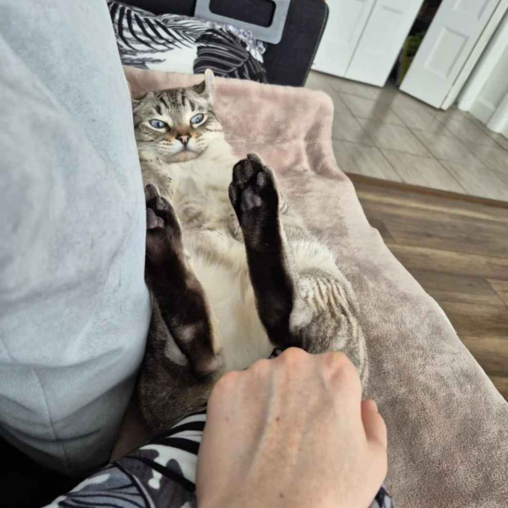 Henri