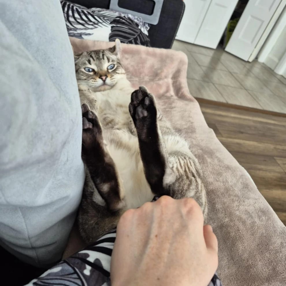 Henri
