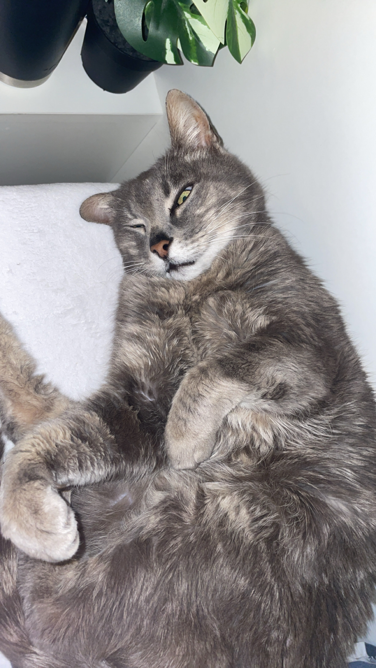 image-4