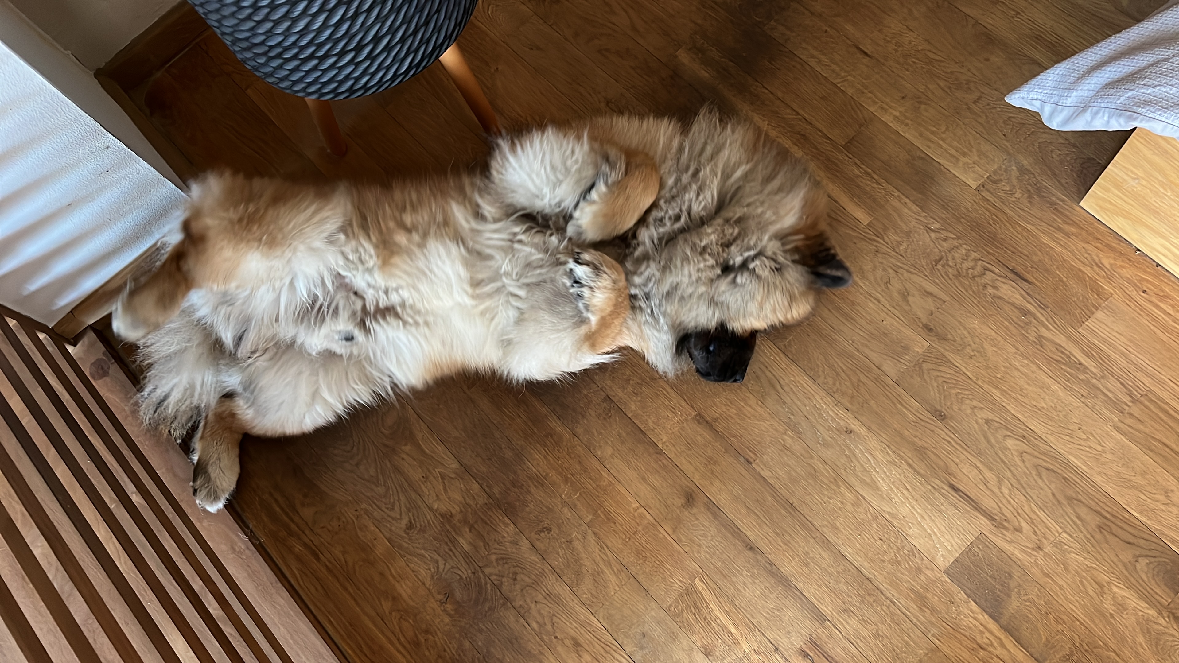 image-11
