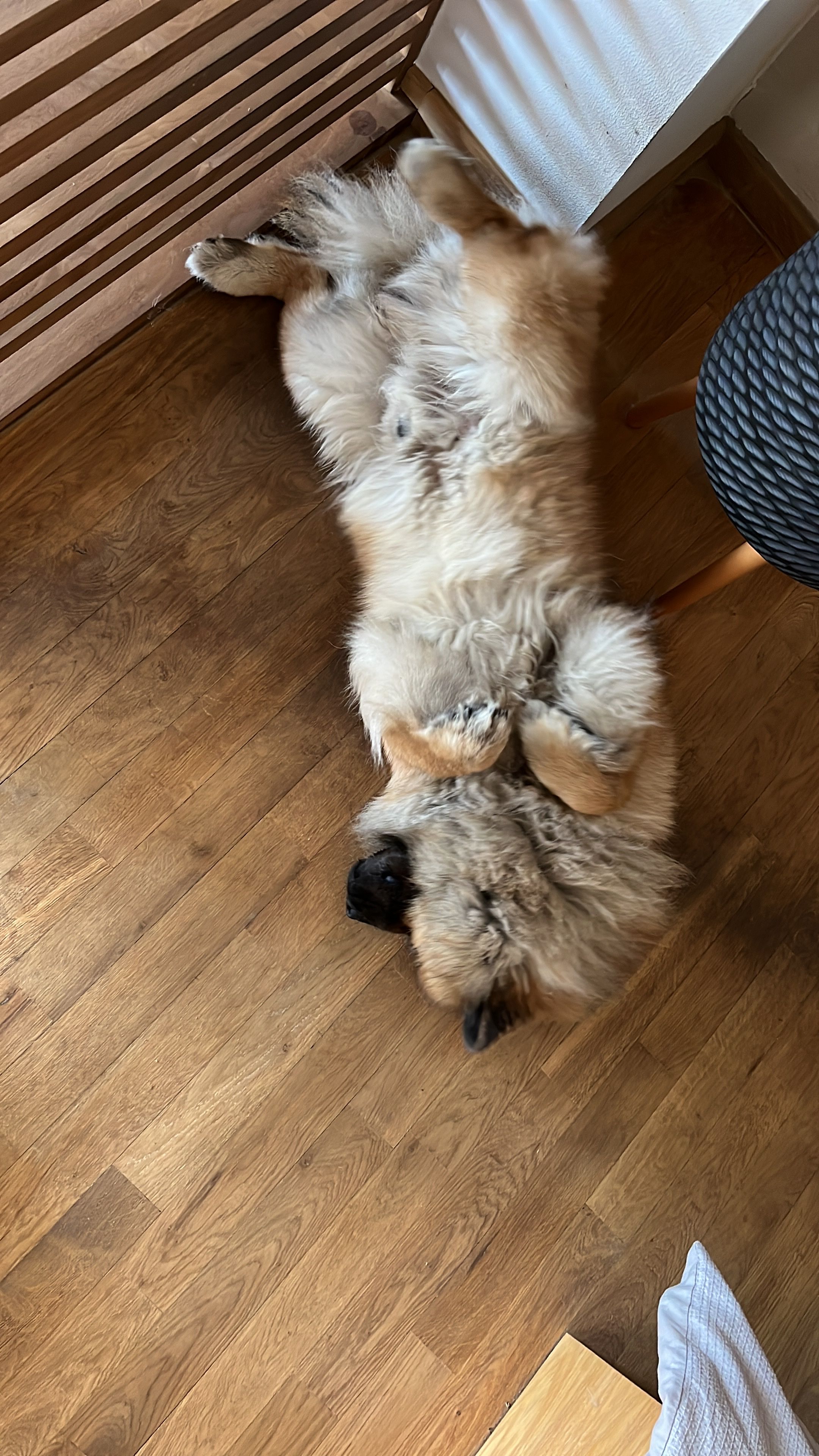image-11