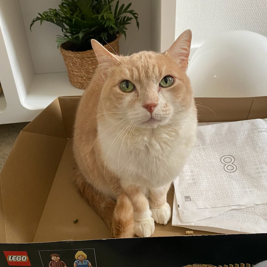 Opium alias Minou (ou Saucisse)