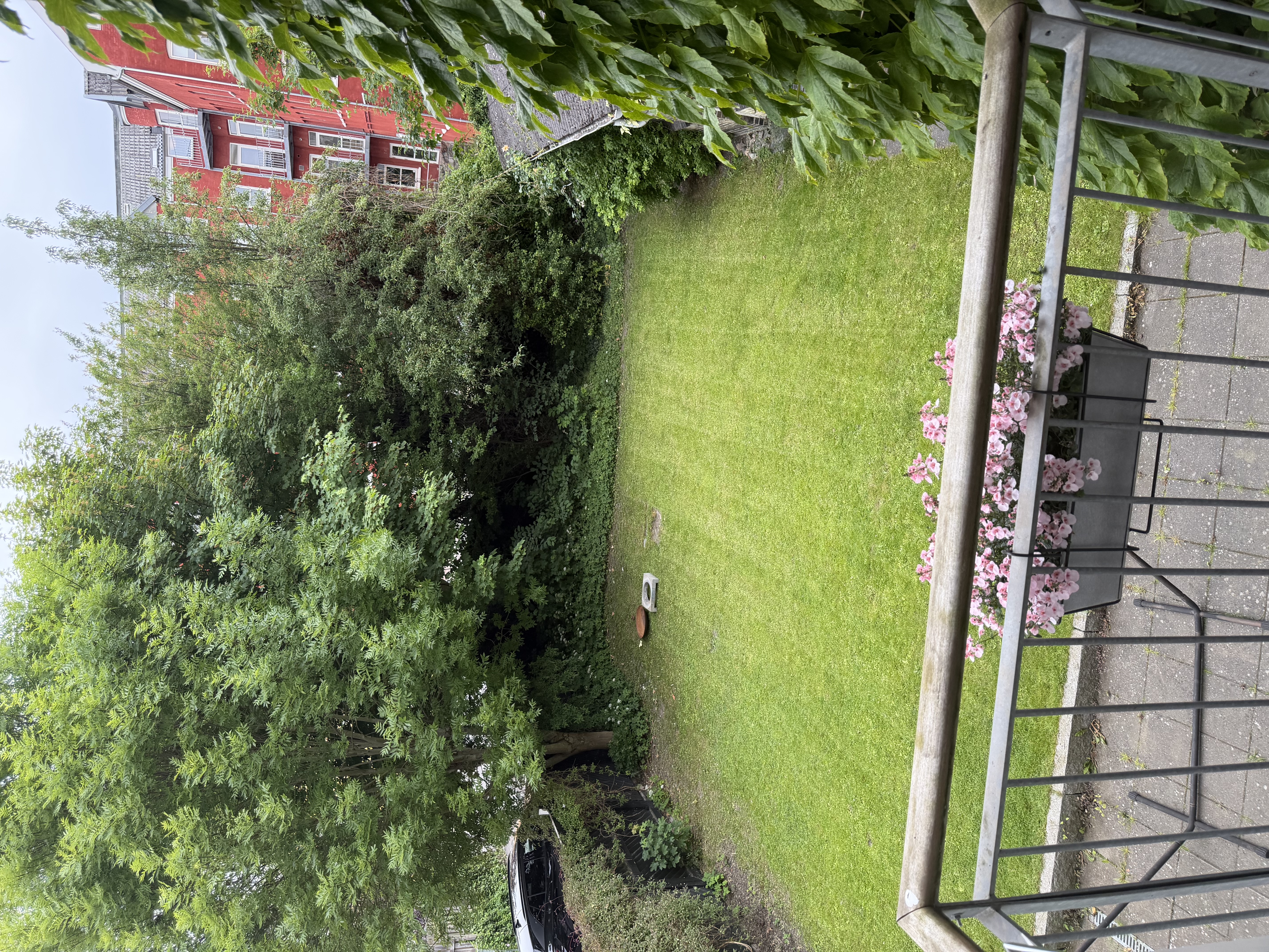 image-16
