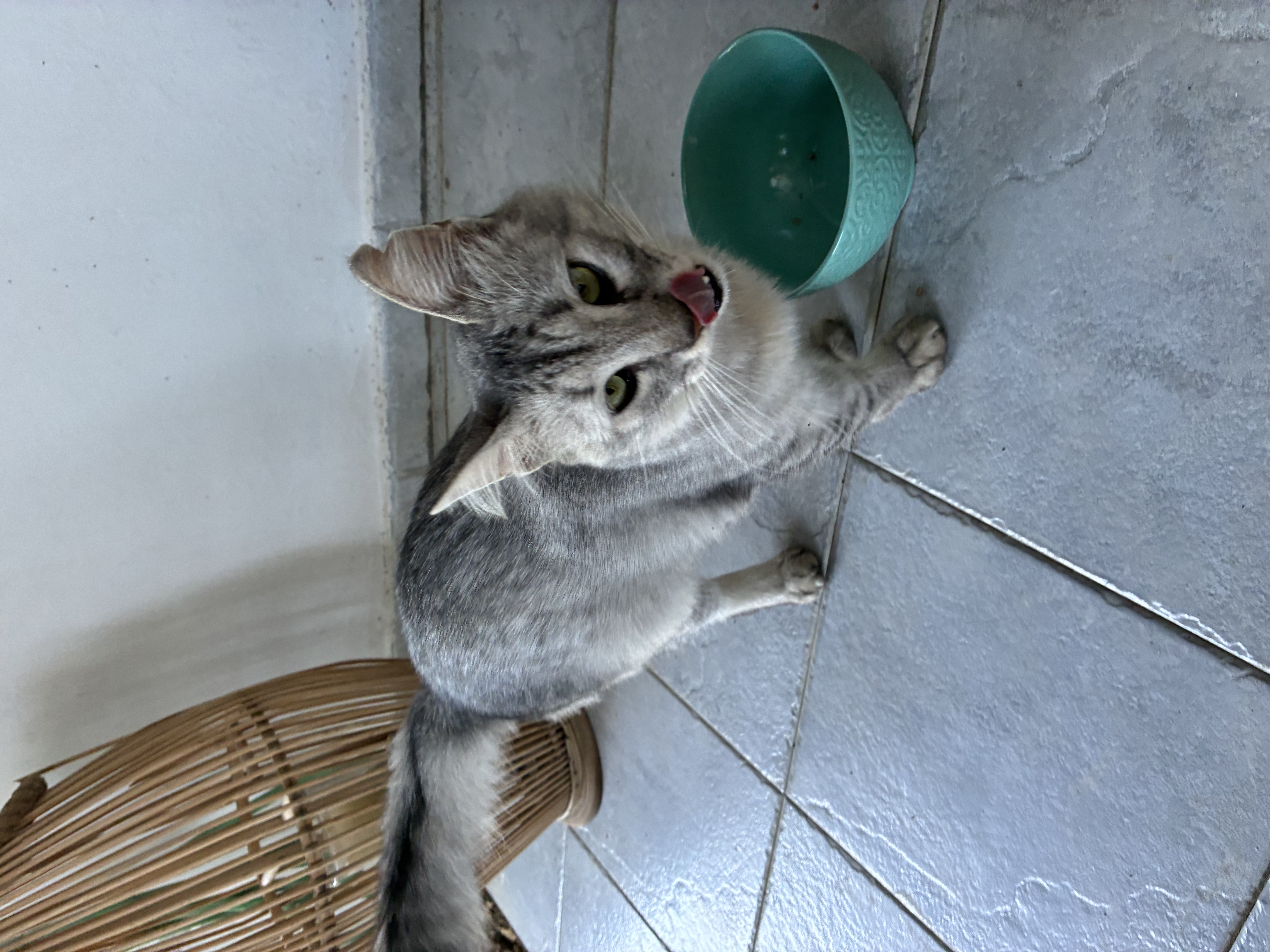 image-5