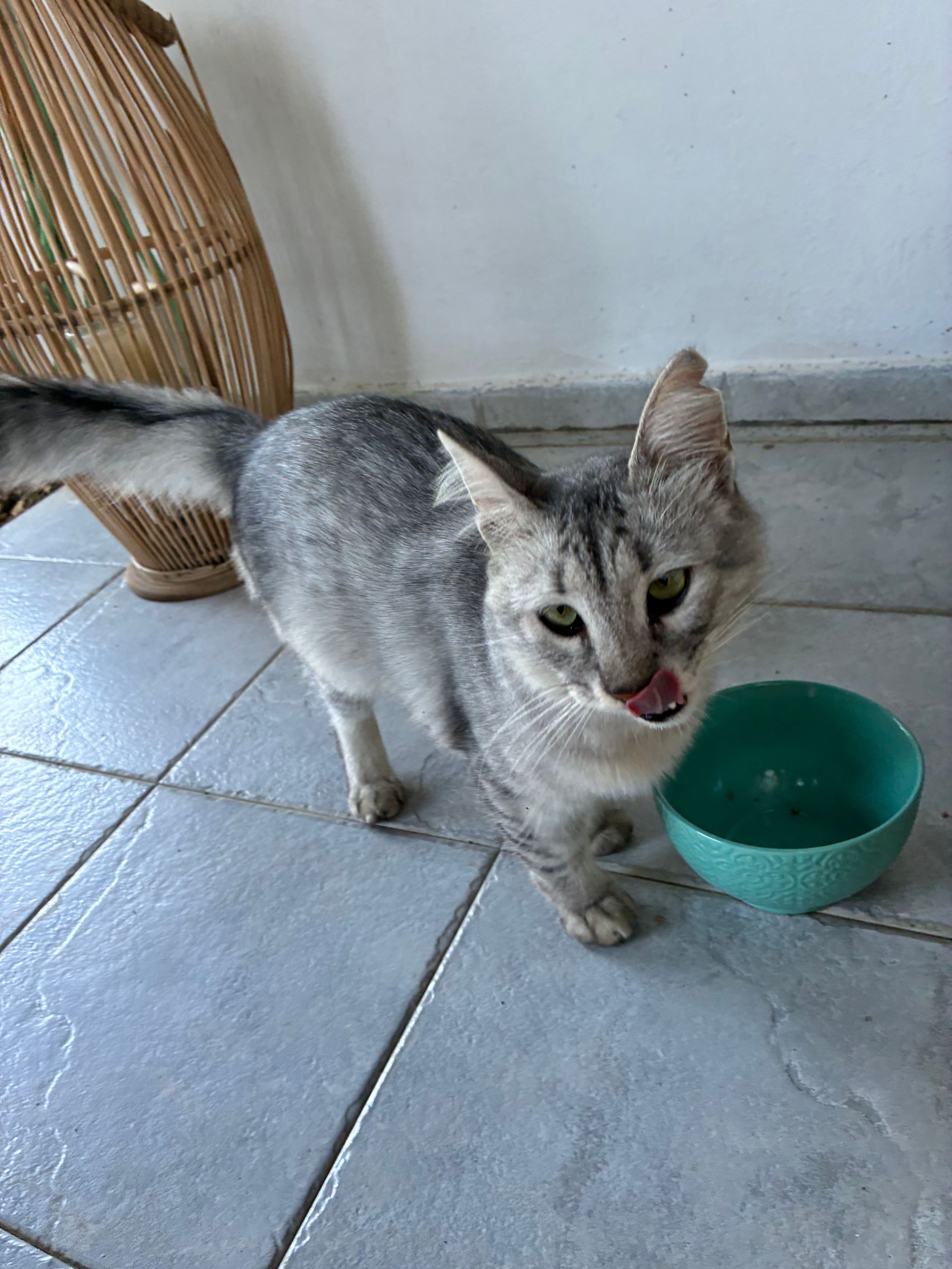 image-5