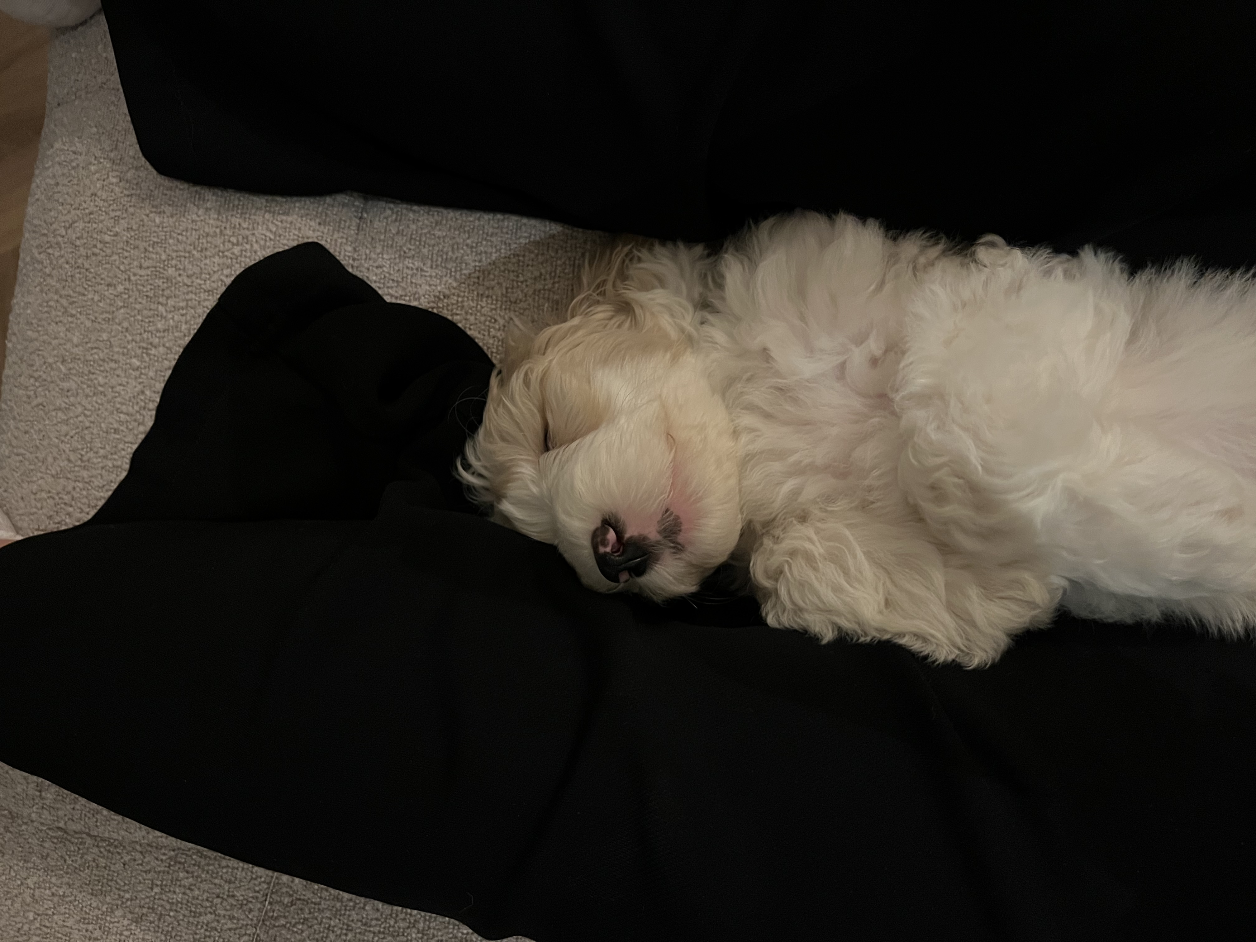image-6