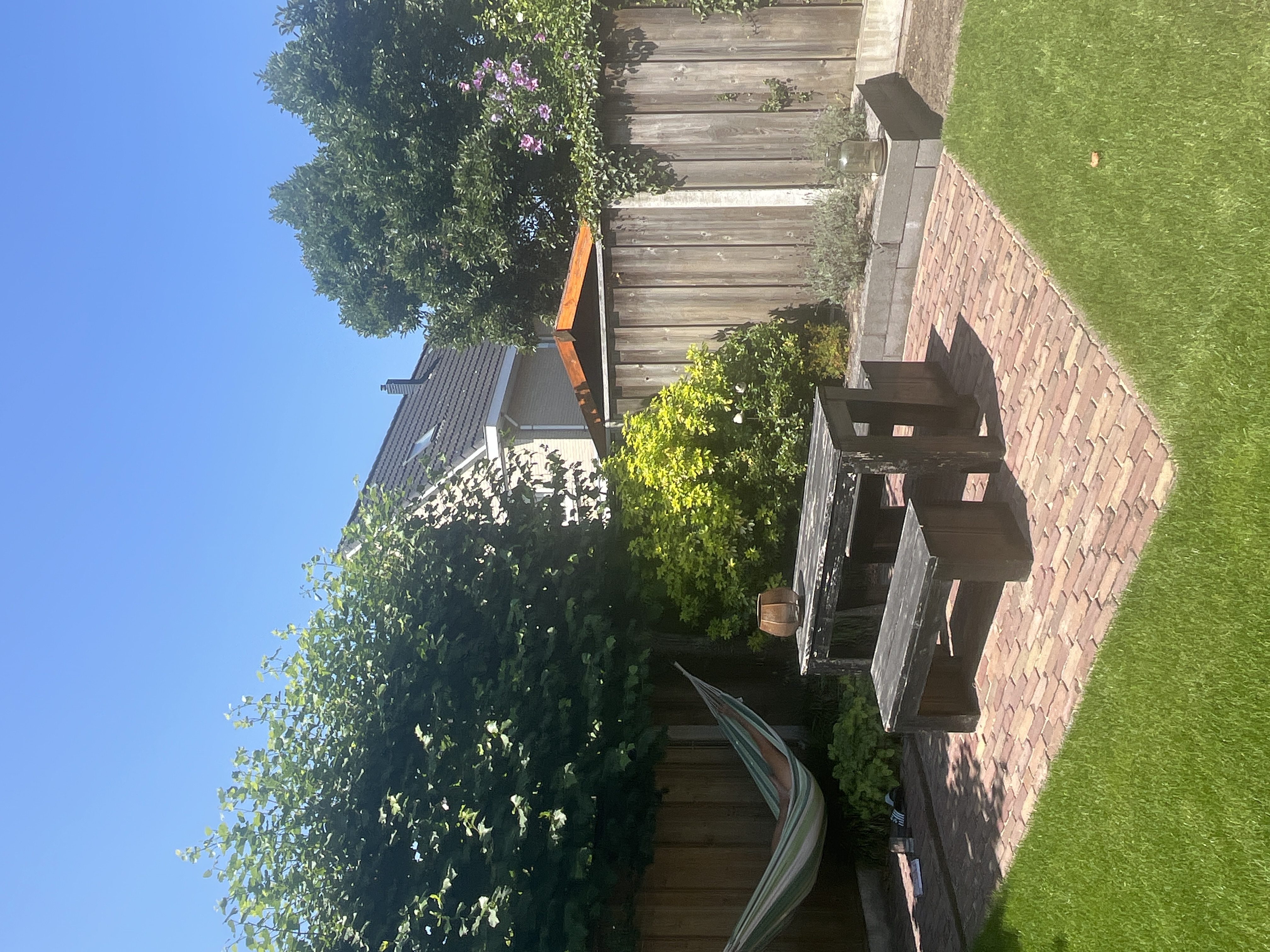 image-16