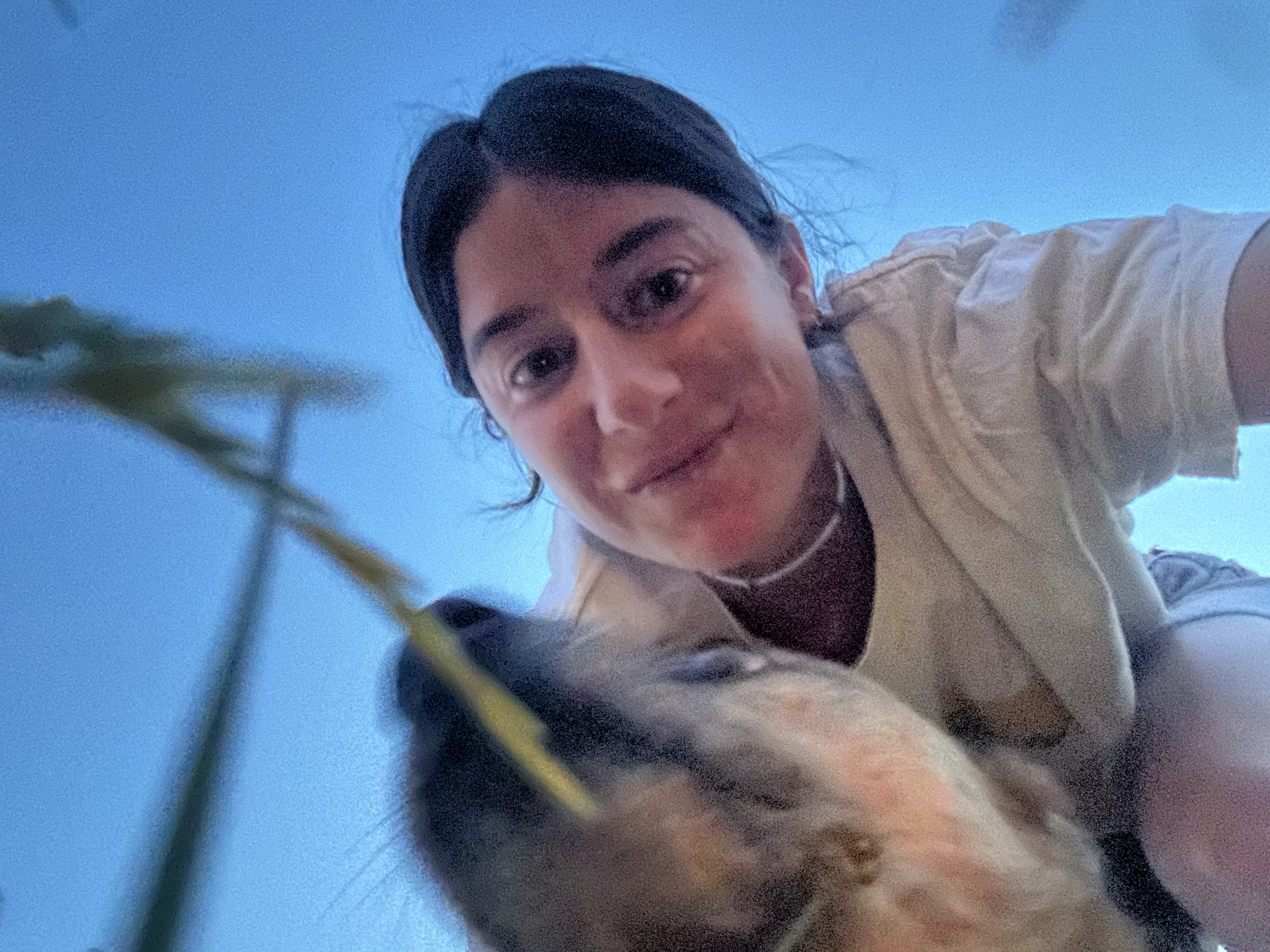 image-4