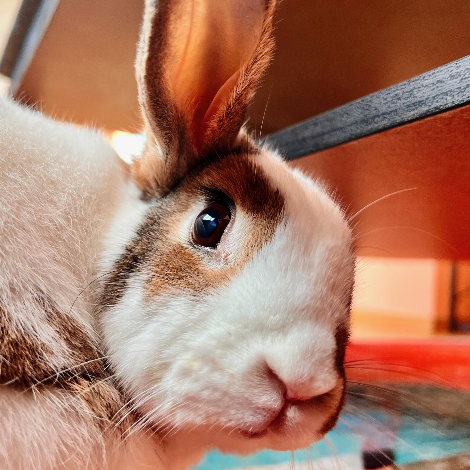 Floyd