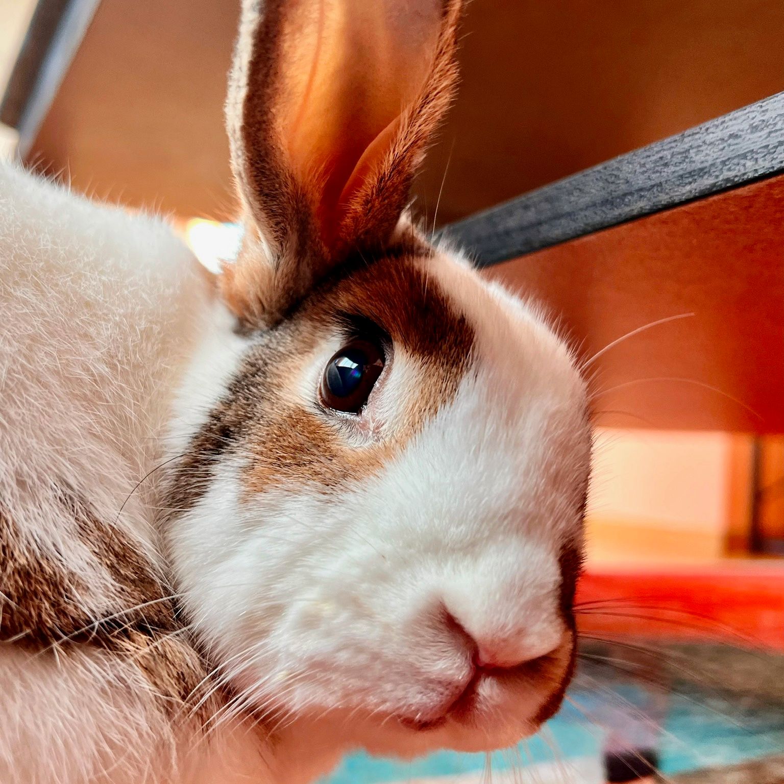 Floyd