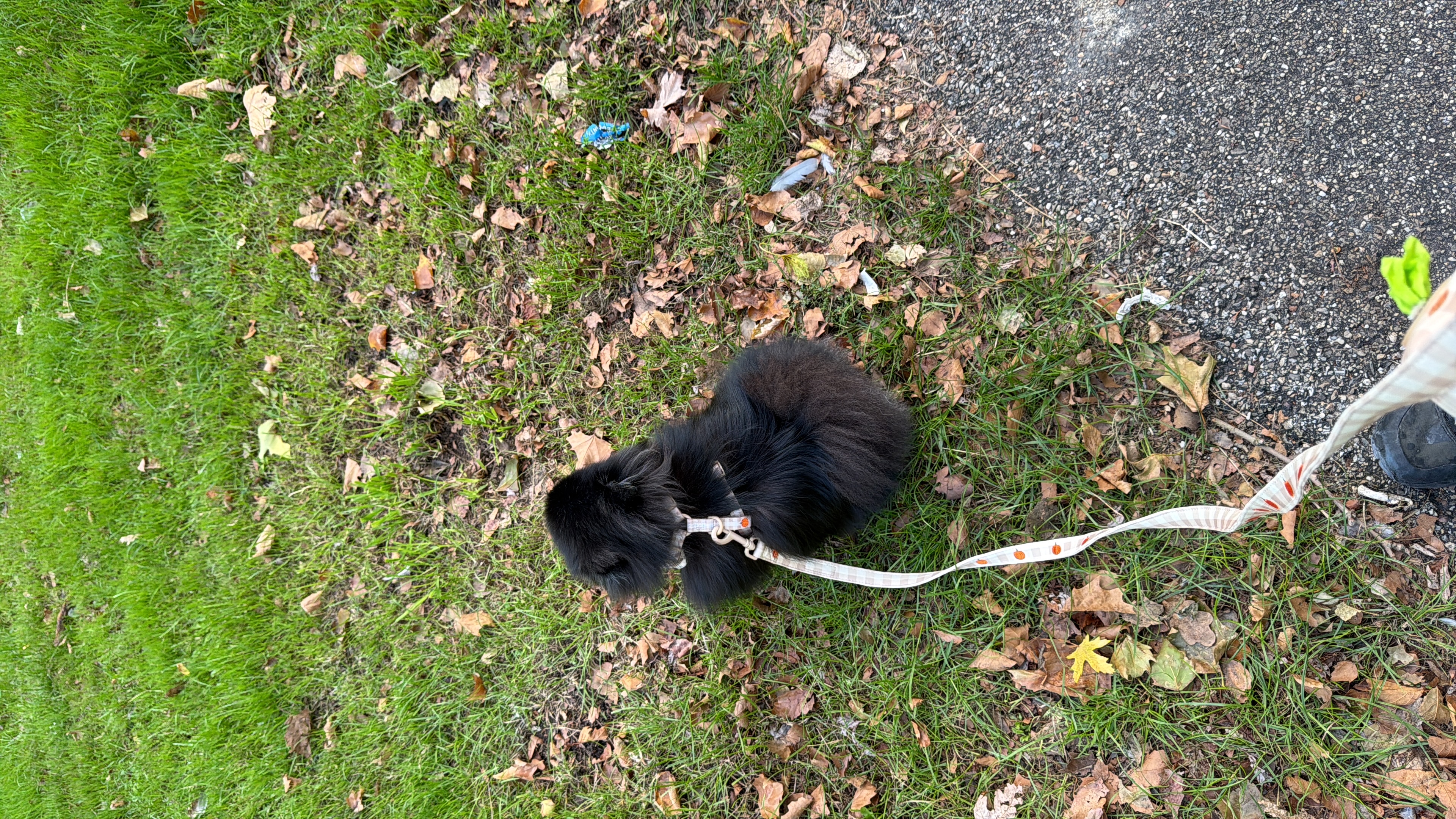 image-9