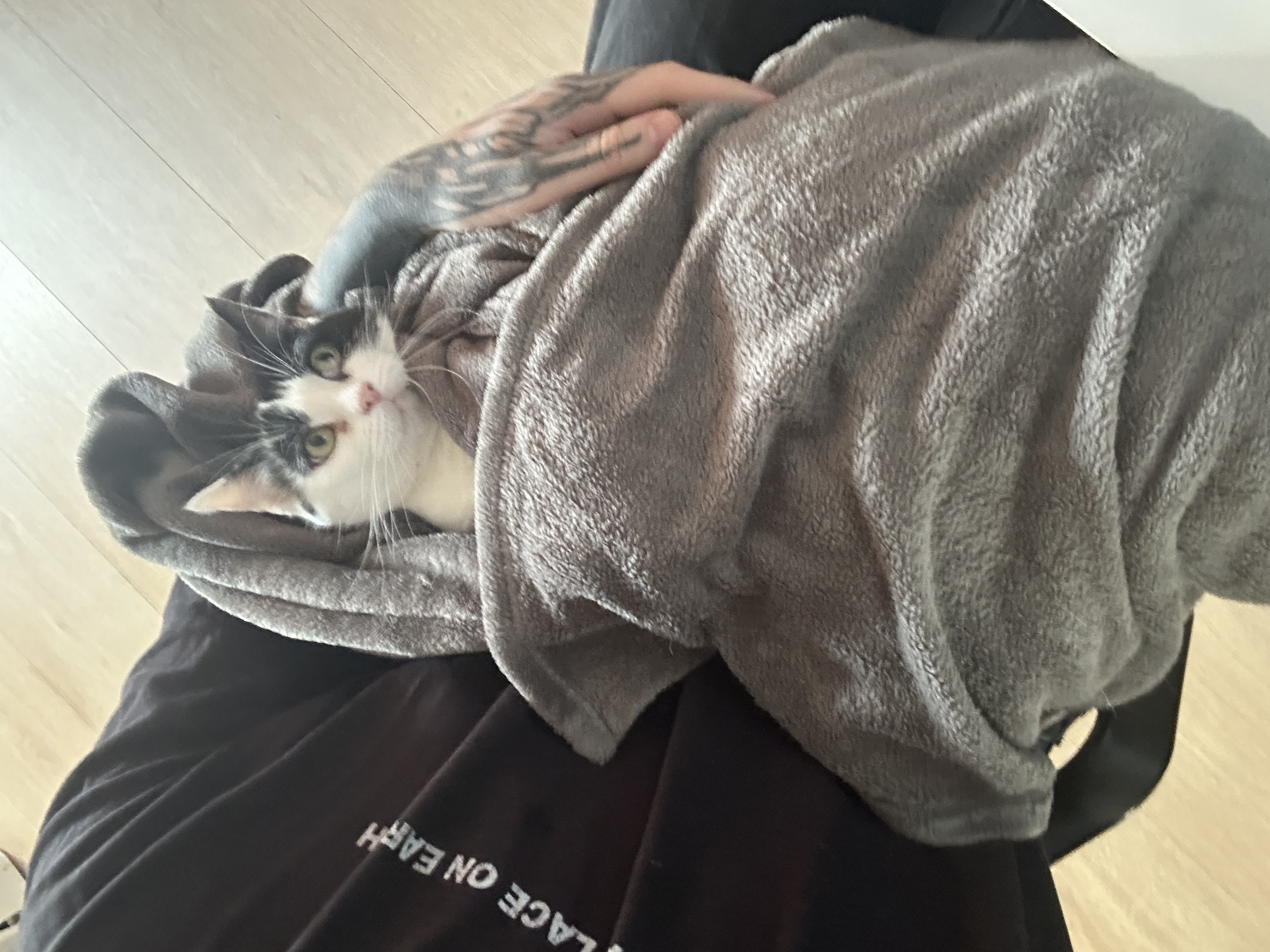 image-7