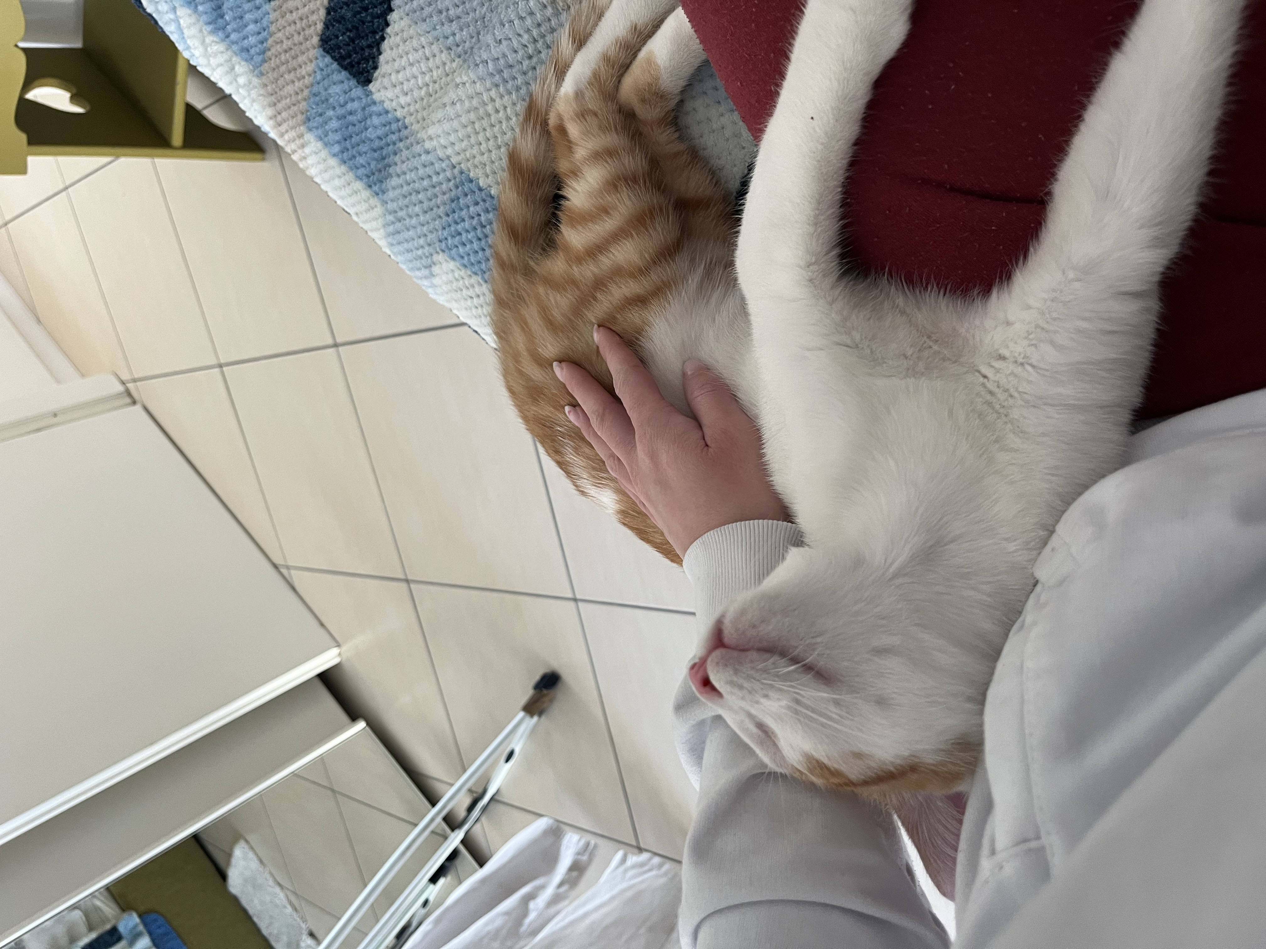 image-7