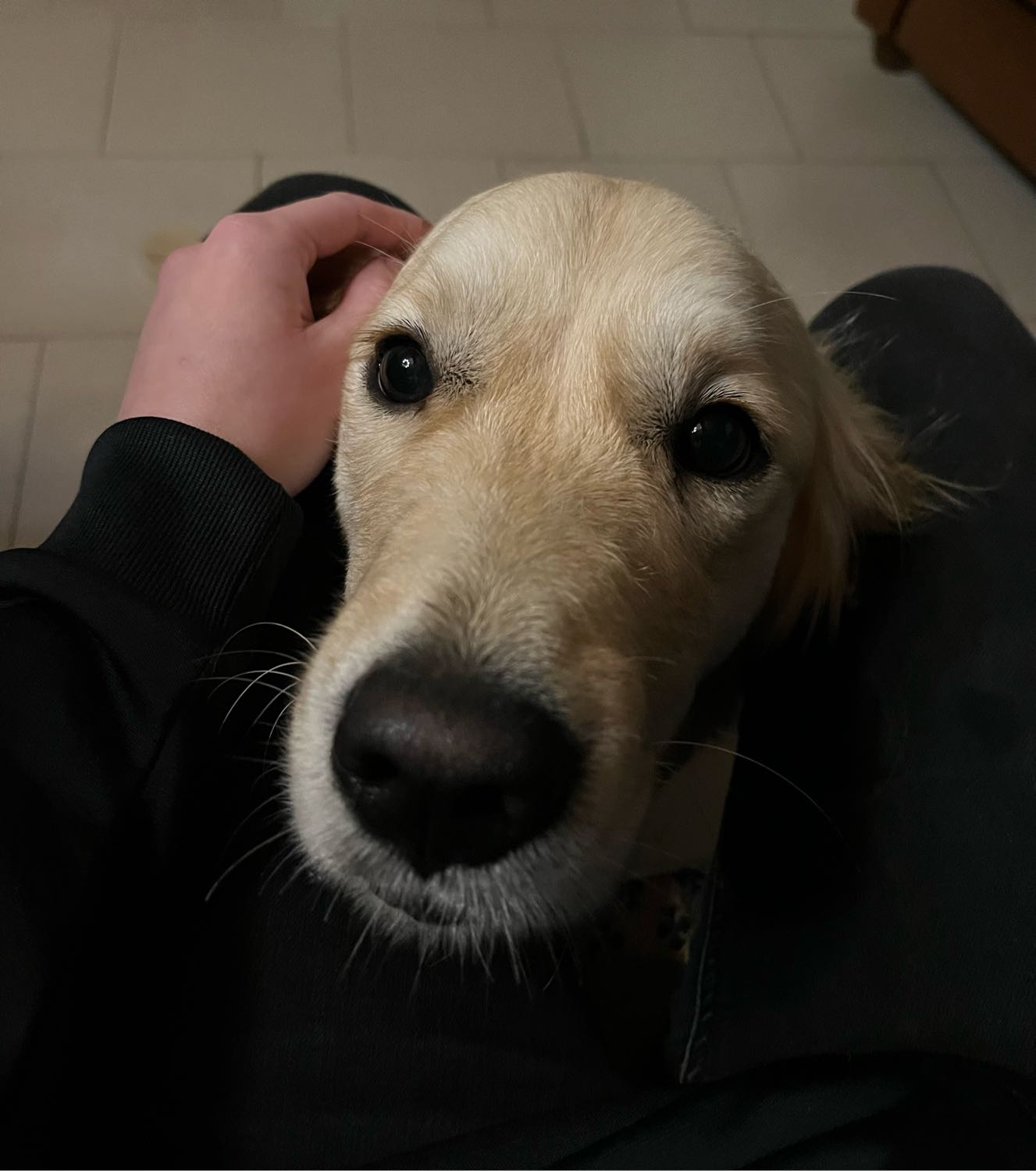 image-9