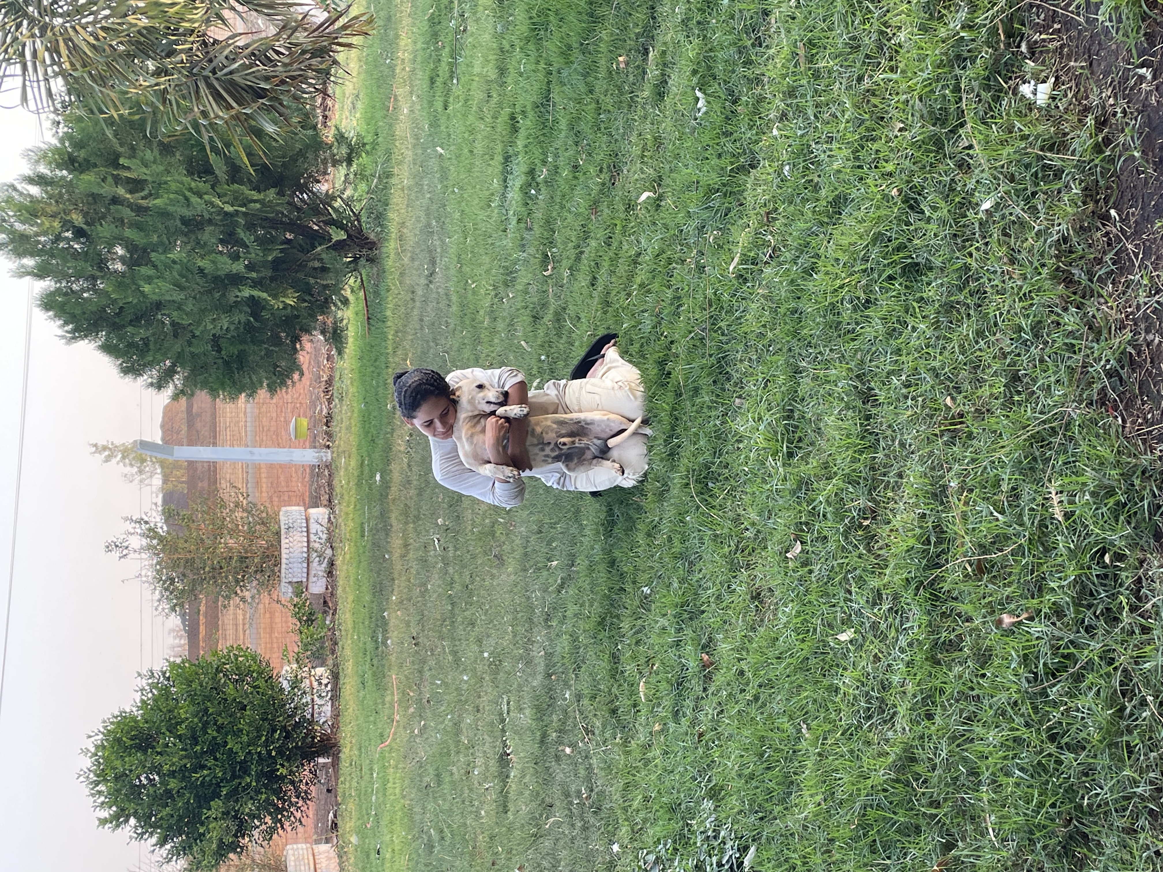 image-3