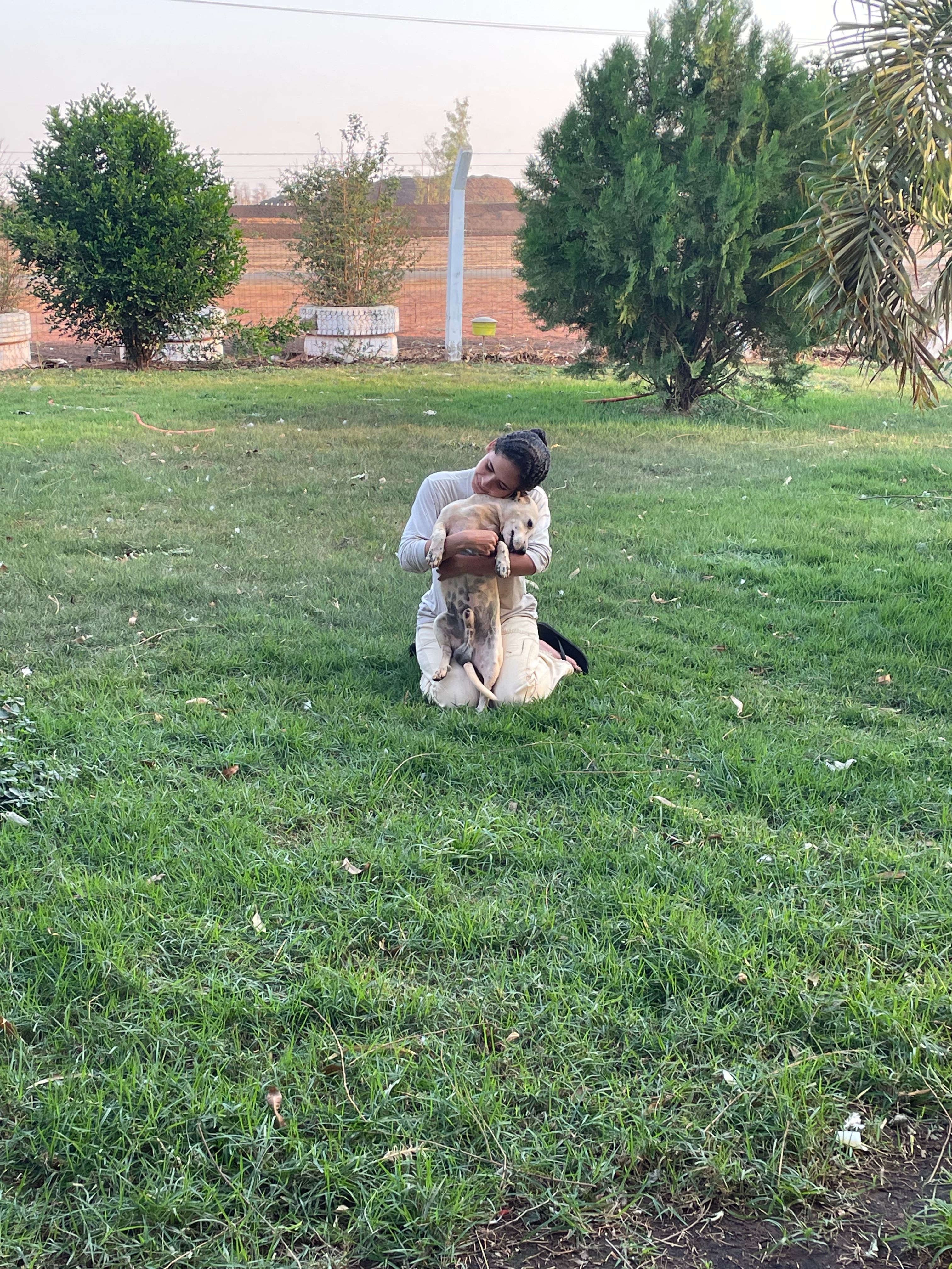 image-3