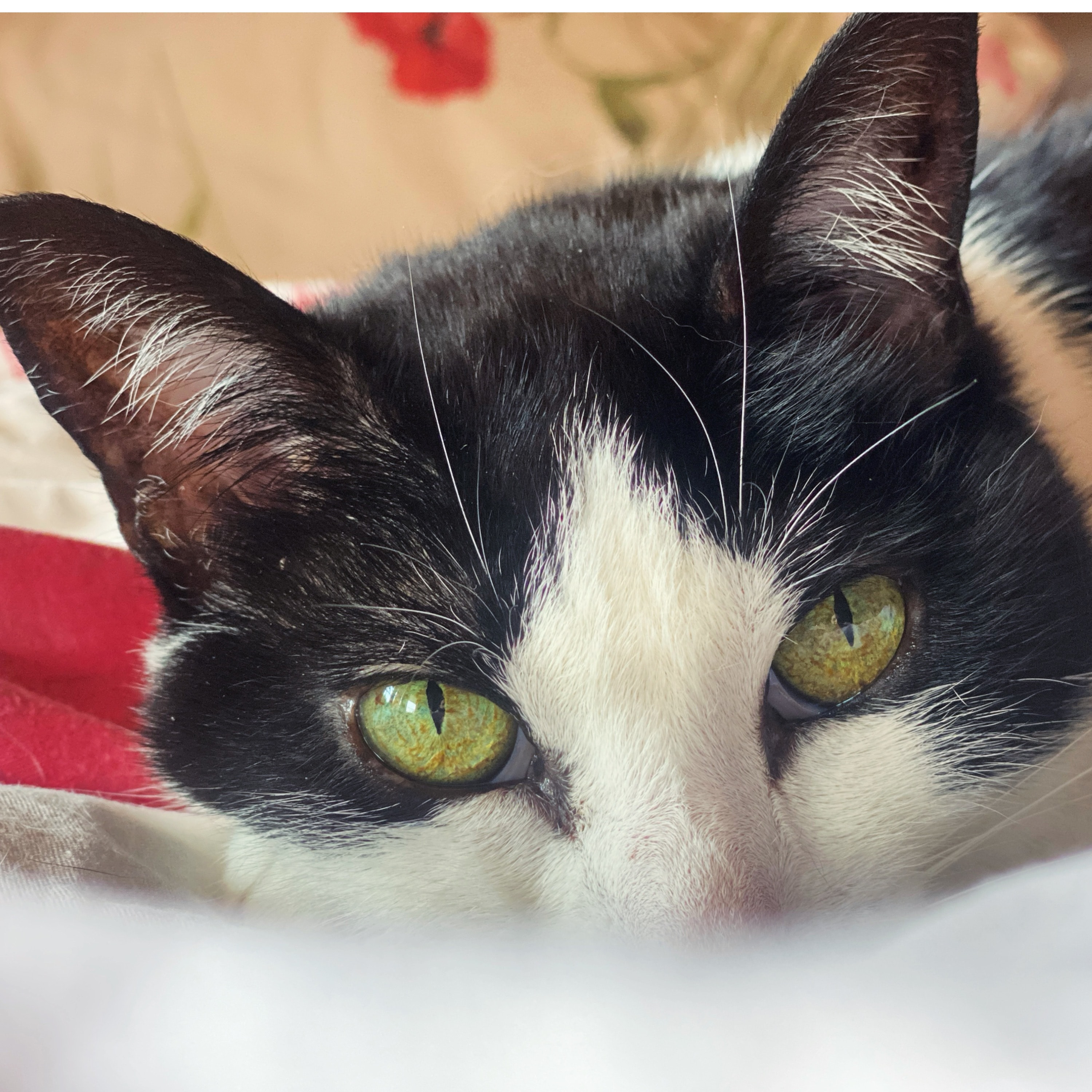 Minù