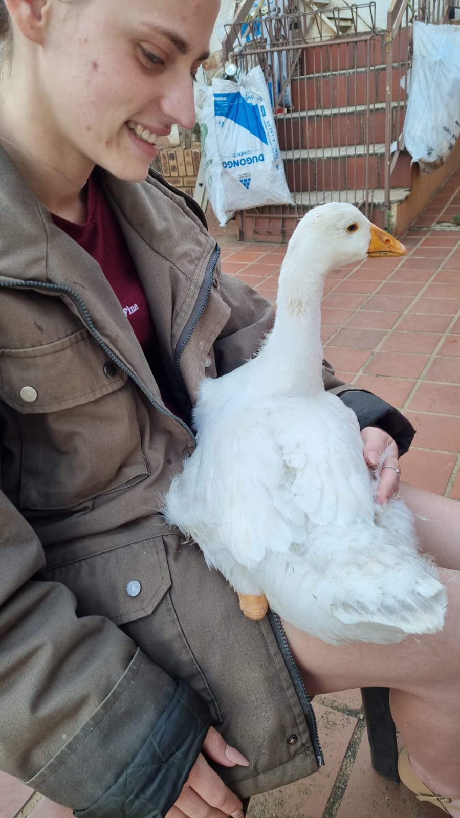 image-7