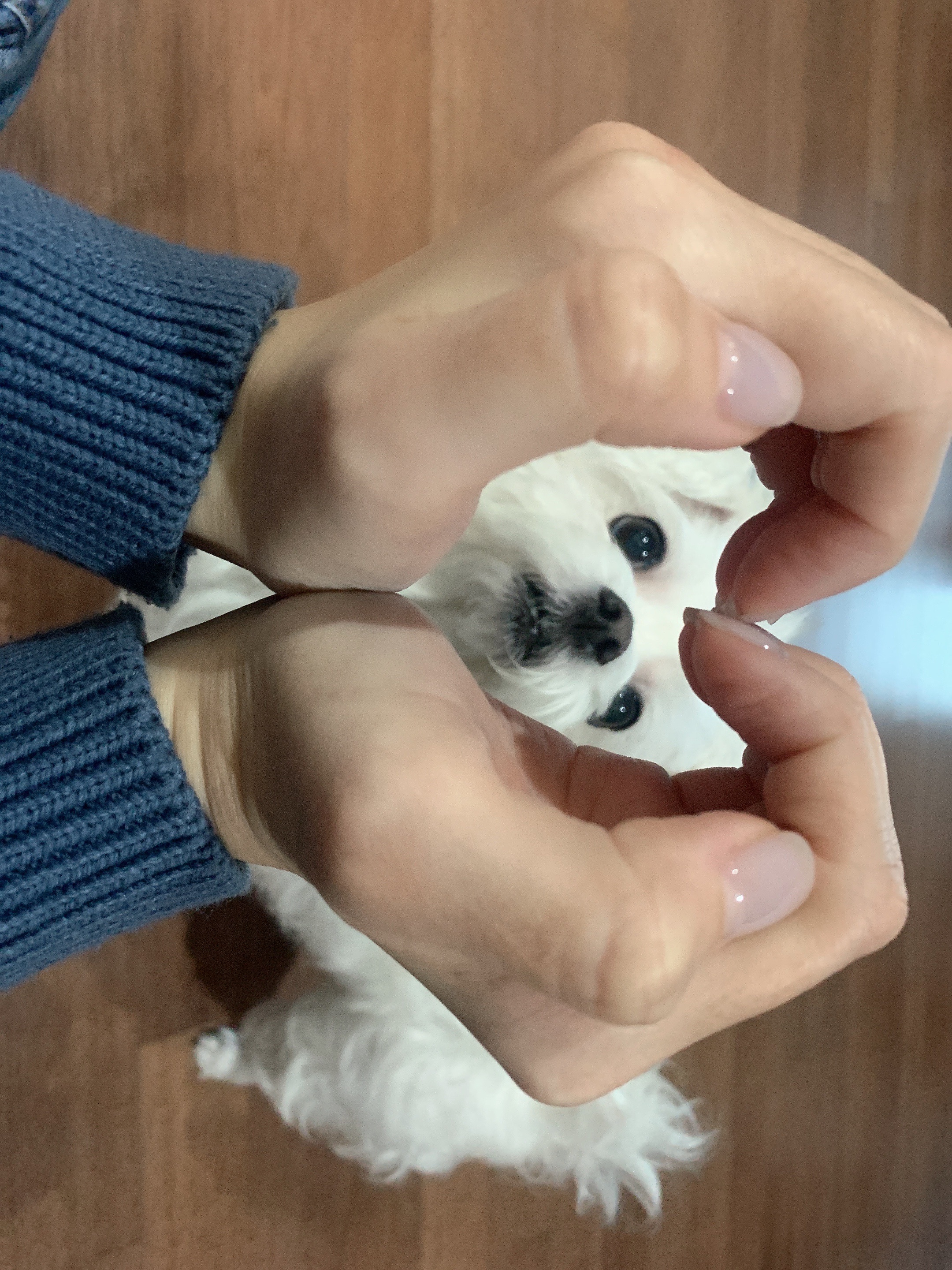image-9