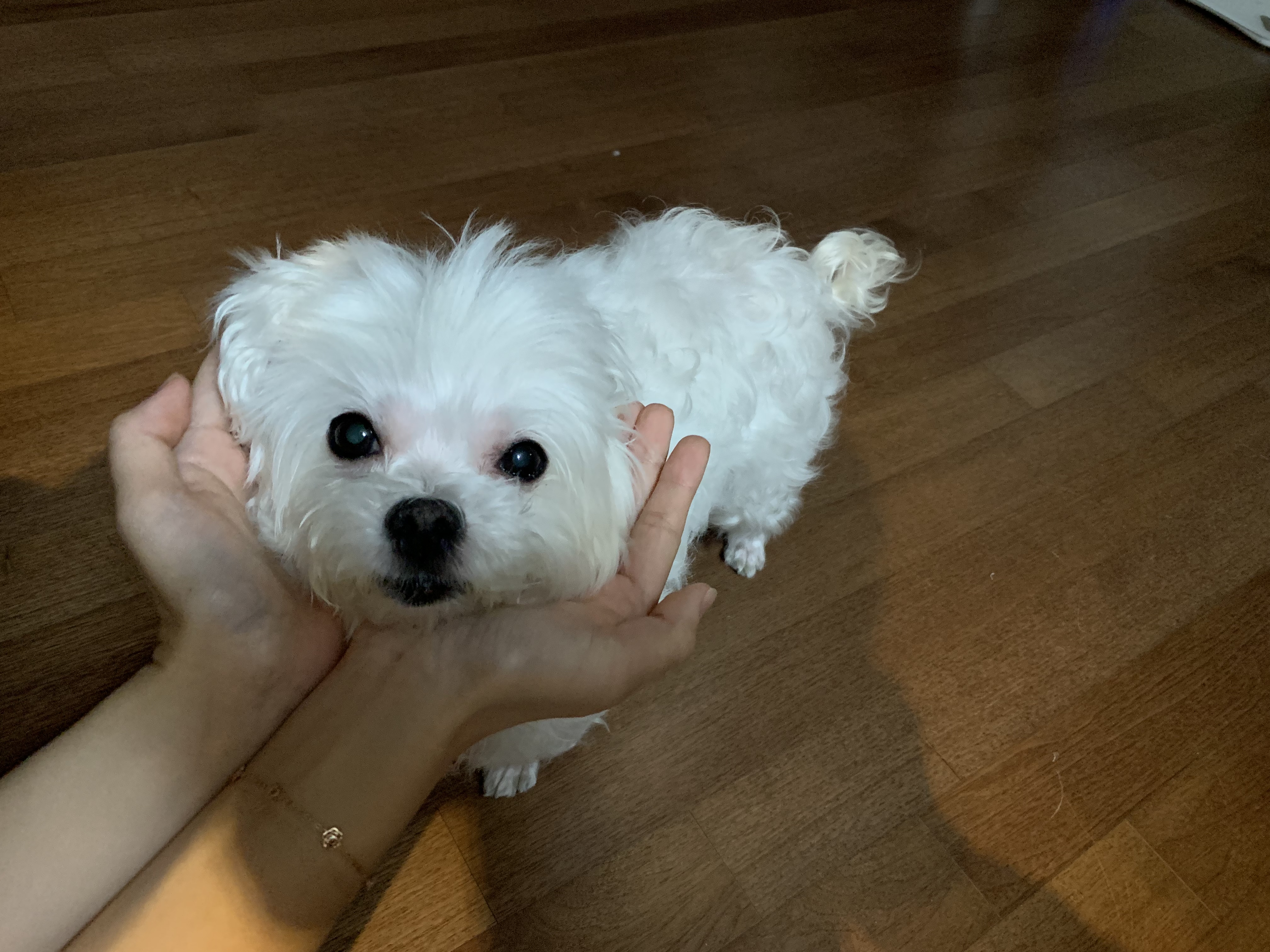 image-7