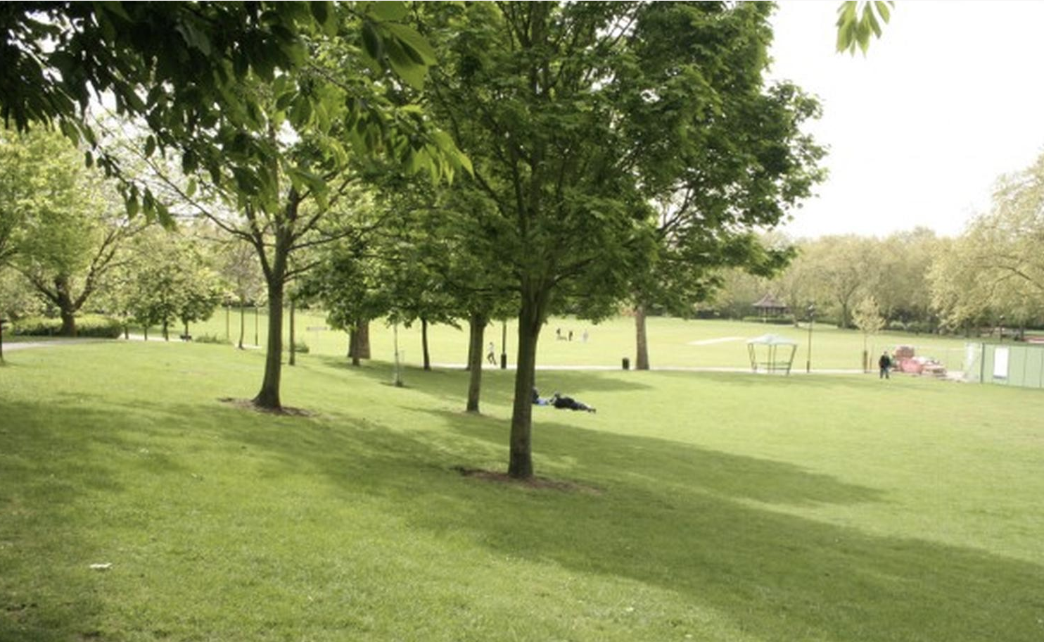 image-11