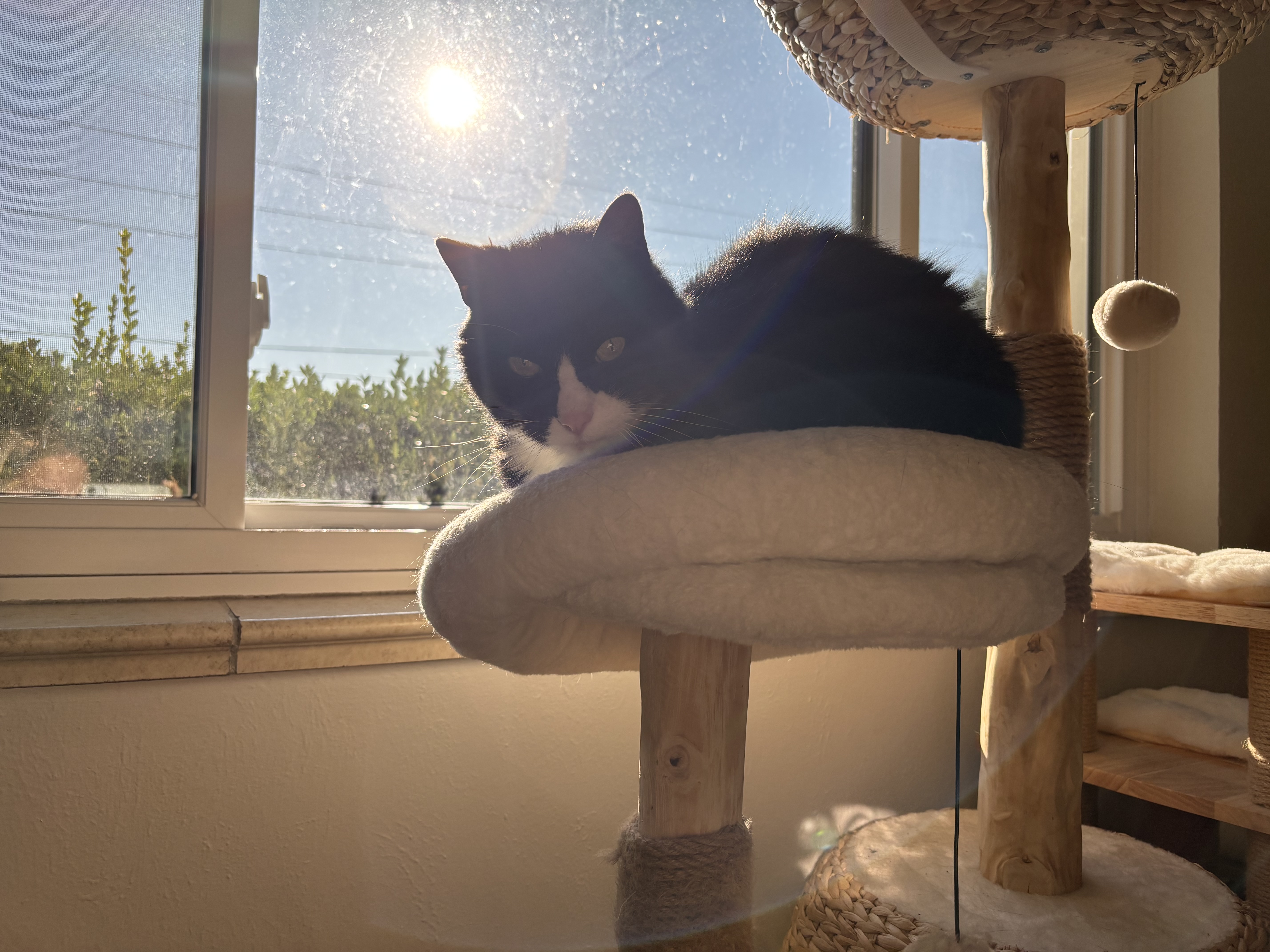 image-16